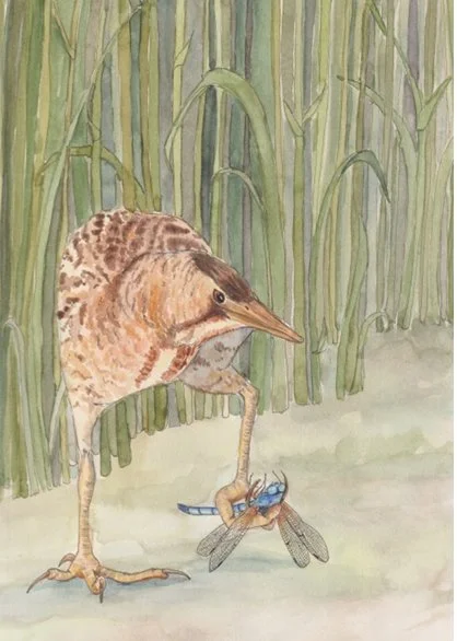 The hungry but empathetic bird.