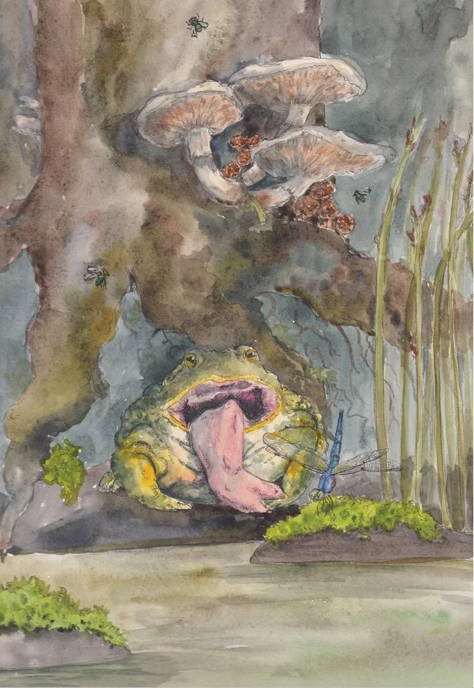 The greedy and gluttonous toad