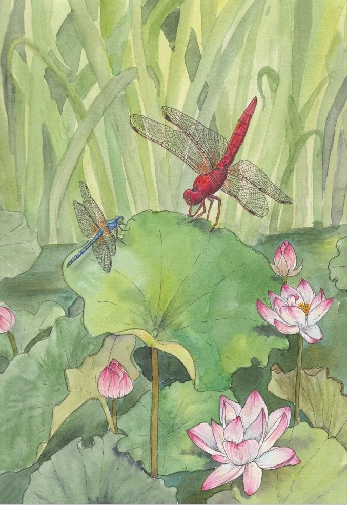 The Red Dragonfly