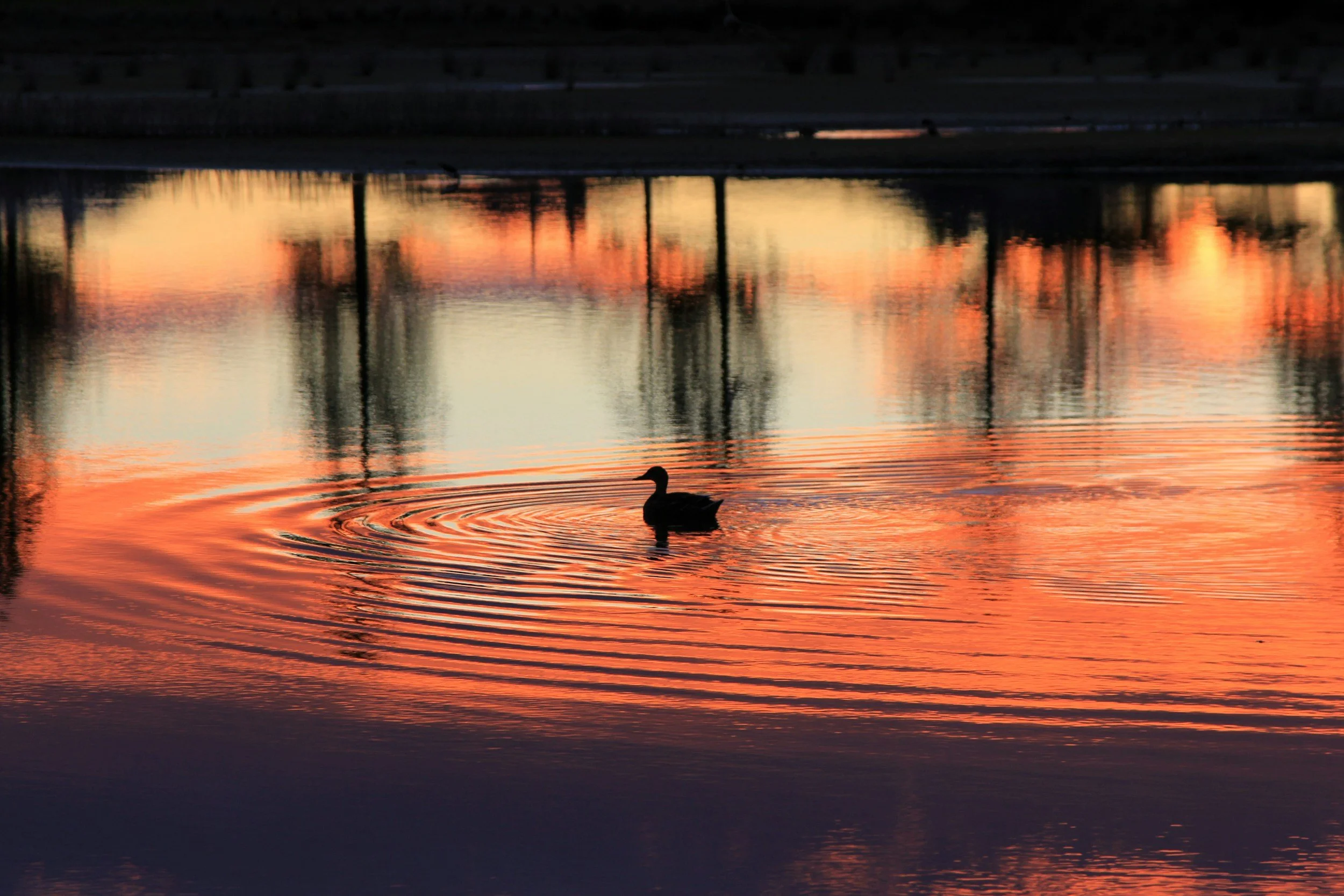 Mindfulness After 50: Why It Matters.