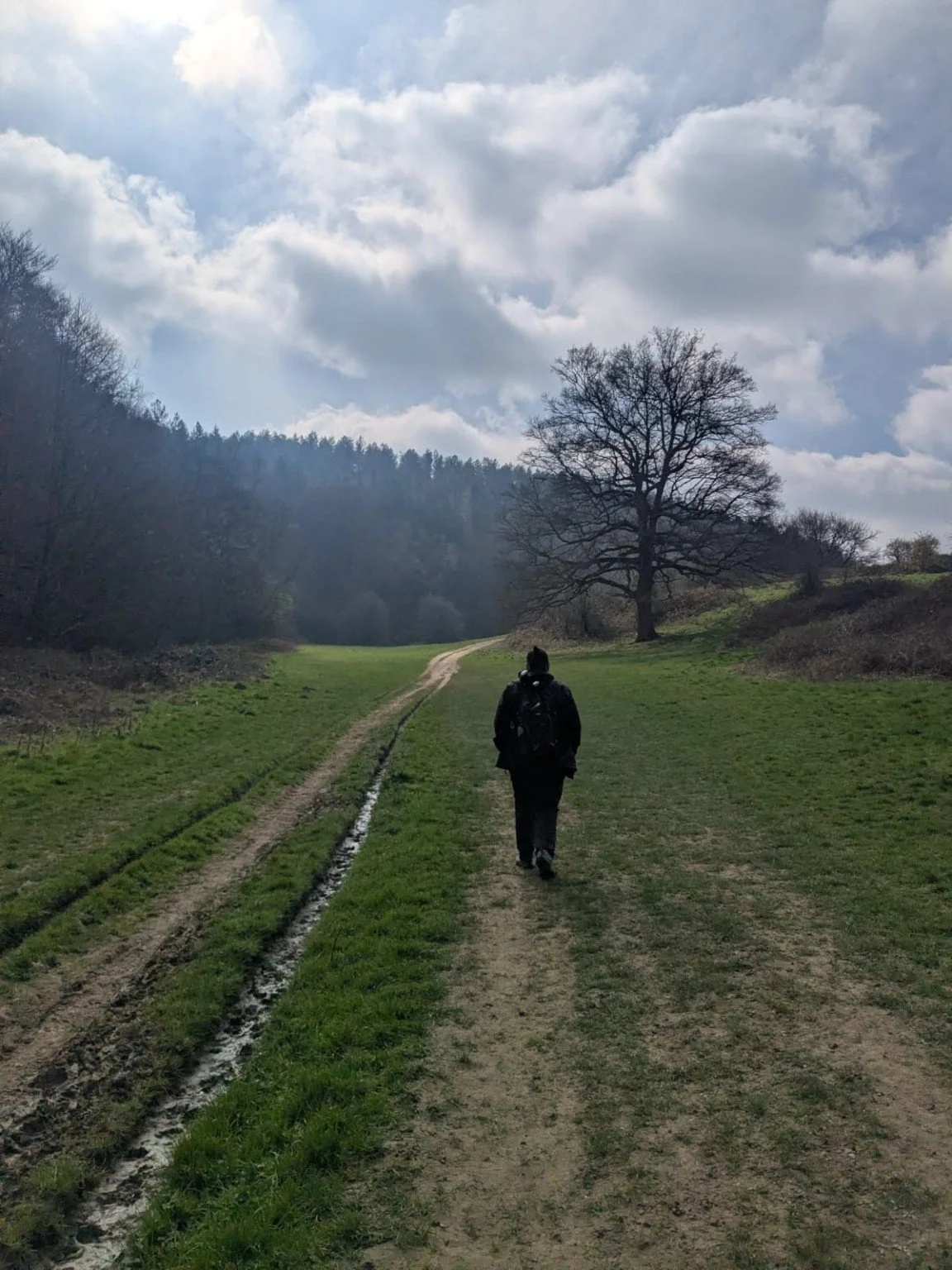 Loretta walking away along a grassy countryside path beneath a bright, cloudy sky.