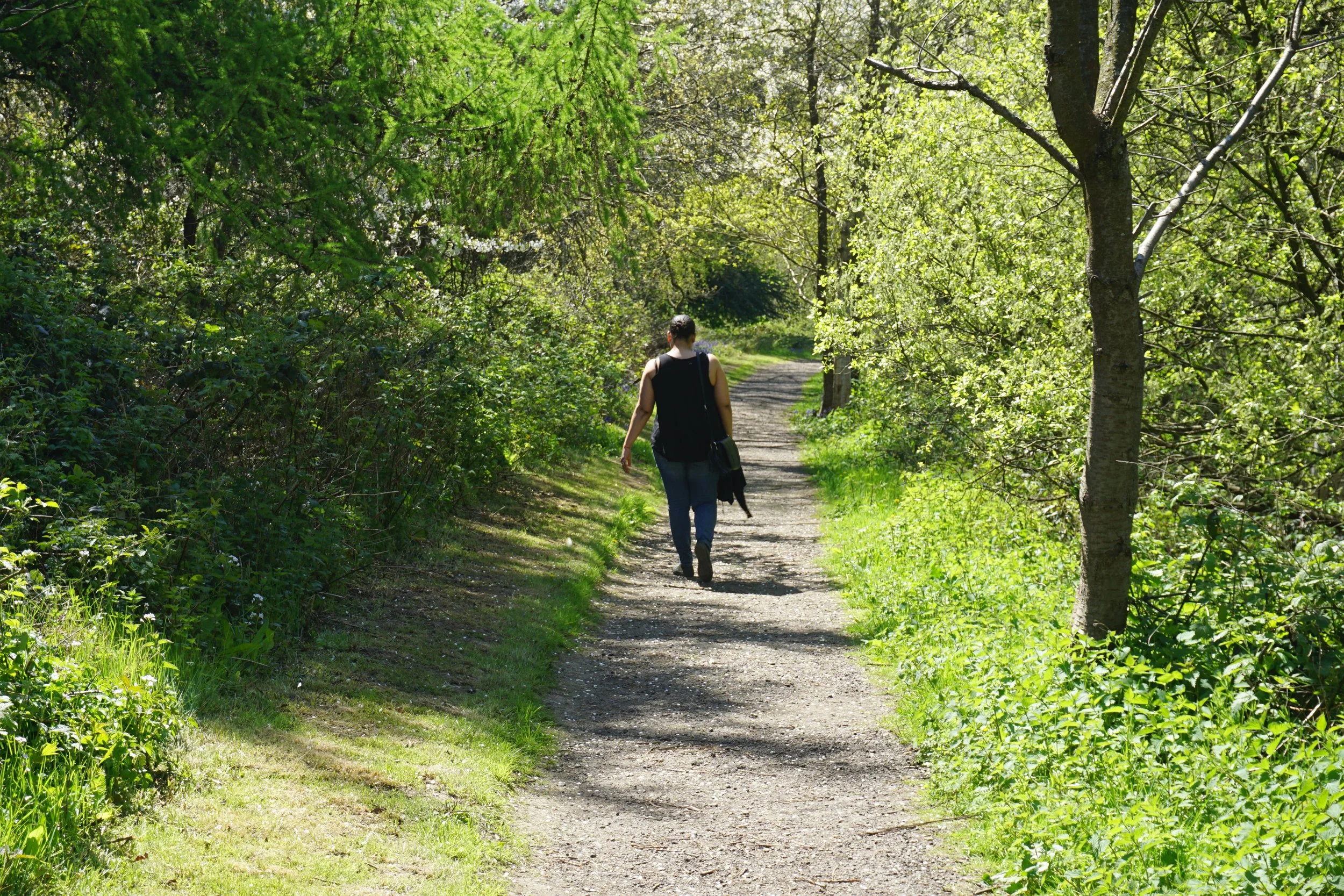 Rooting and Rising- How the Countryside Helped Me Grow.