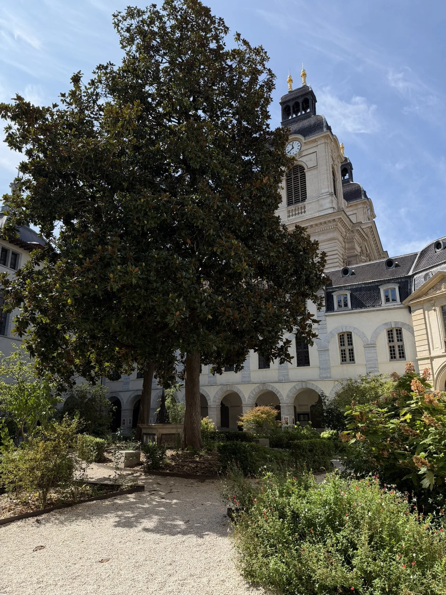 Hôtel-Dieu