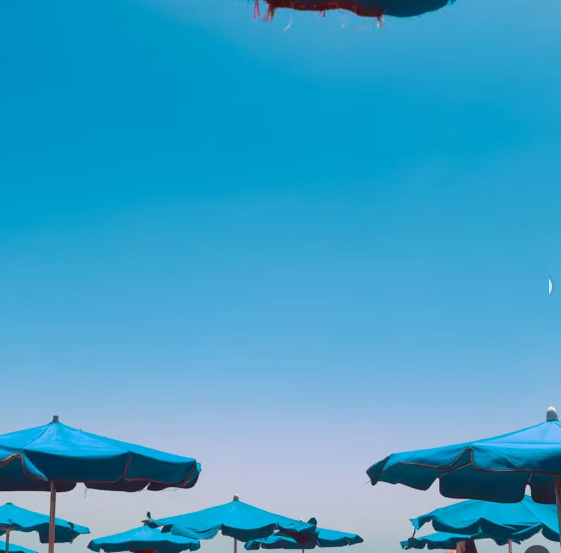 Multiple blue beach umbrellas set up on a sandy beach under a clear blue sky.