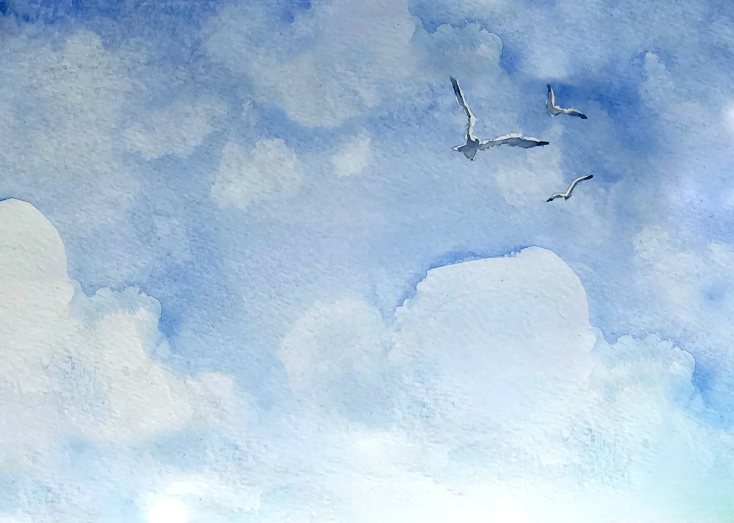 Ciel-+-mouettes.jpg