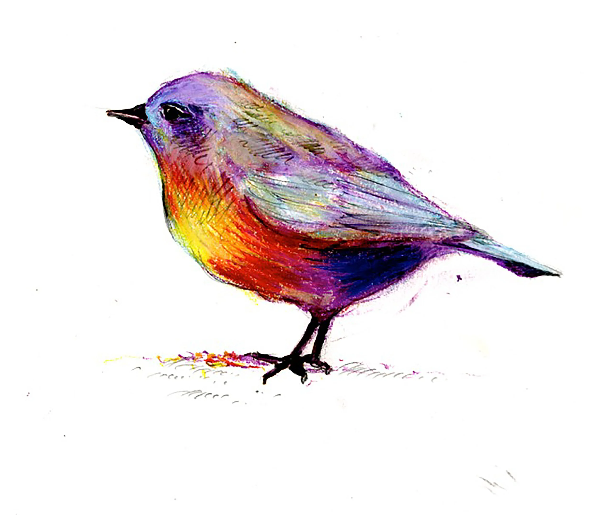 Oiseau-crayons-de-couleurs-craies-pastel-gras.jpg