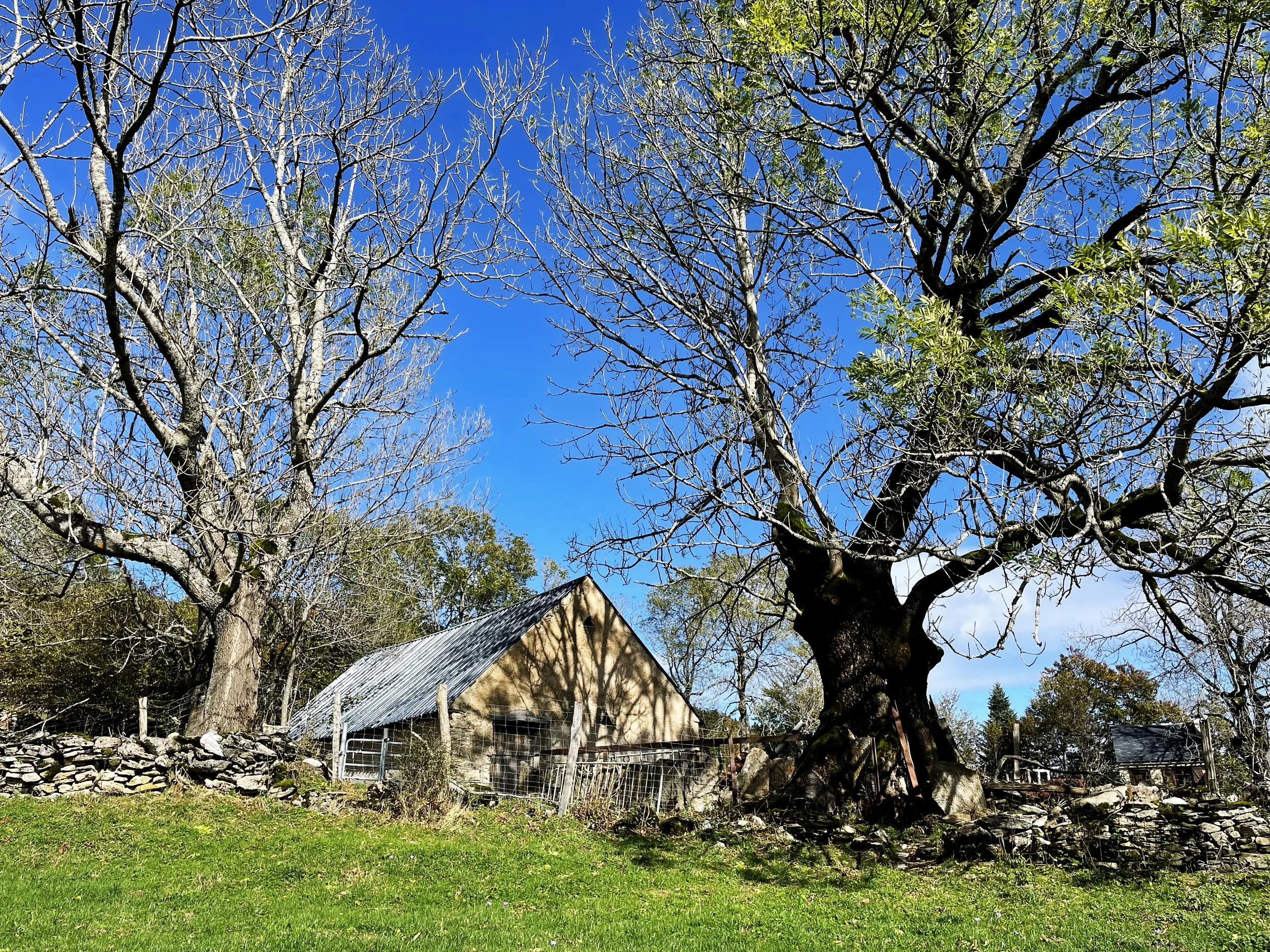 Prairie Grange montagne.jpeg