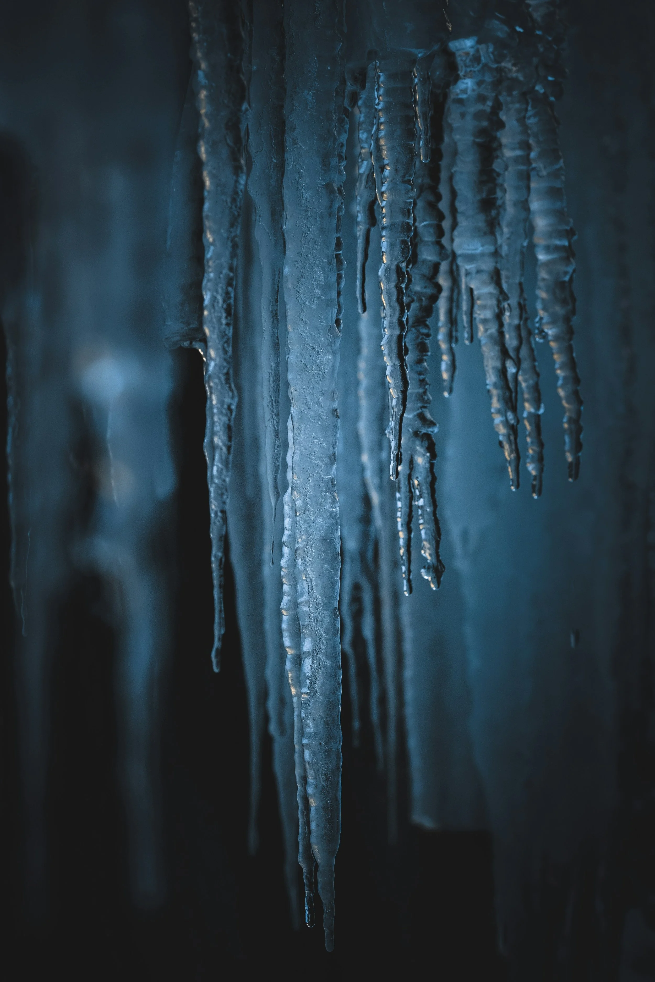 He Could’ve Followed. He Froze Instead.