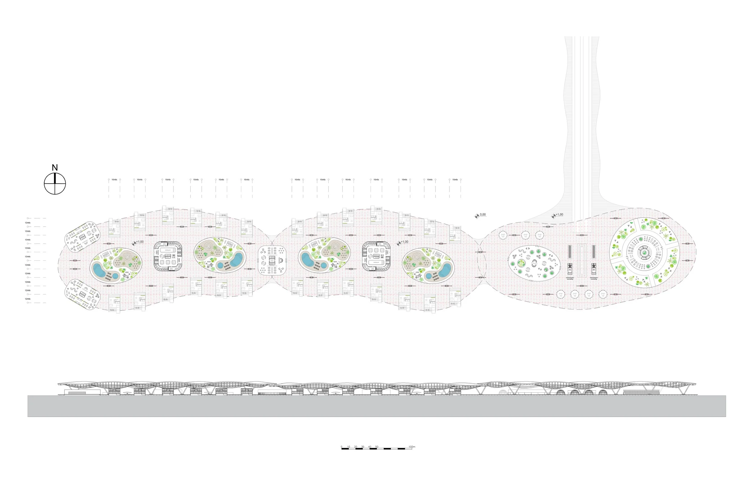 planta cumbuco jpg.jpg