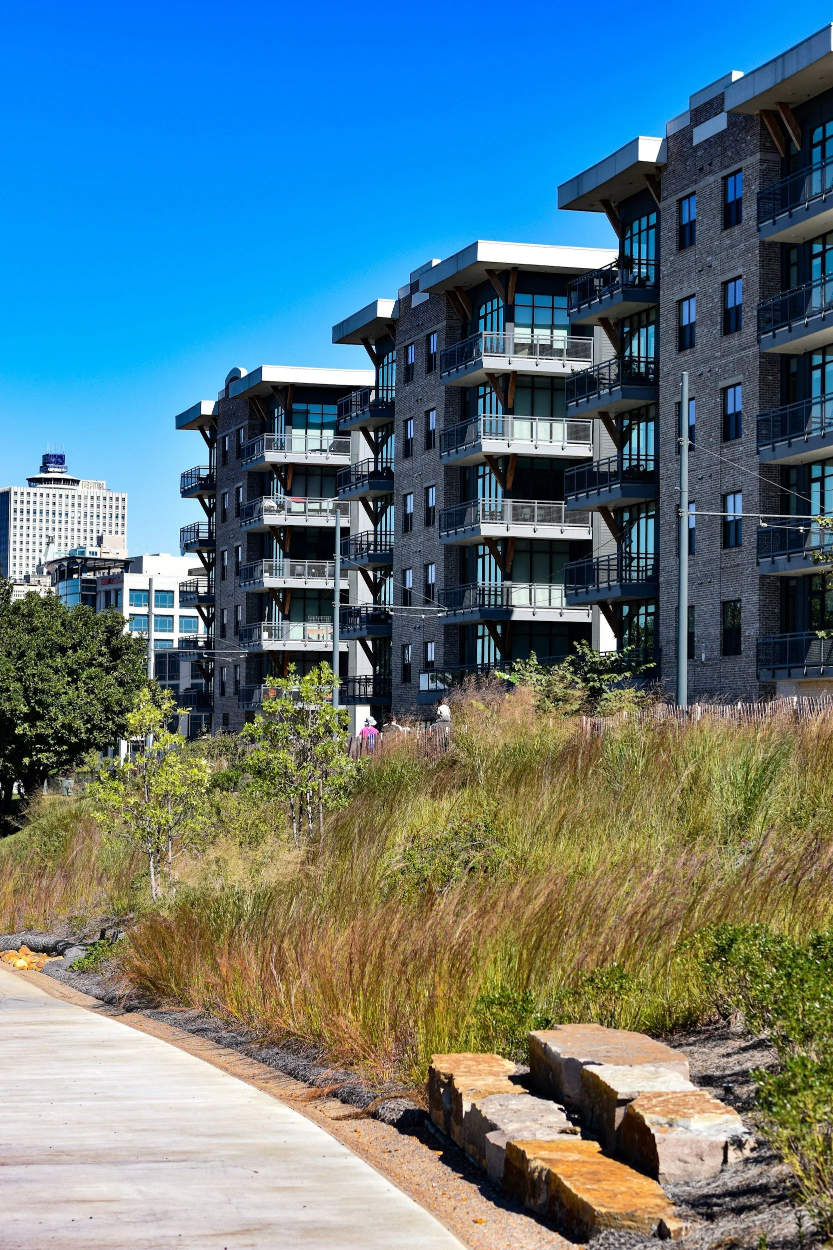 A multi-story apartment building with balconies and large windows, situated next to a sidewalk with a landscaped area of tall, colorful grasses and small trees.