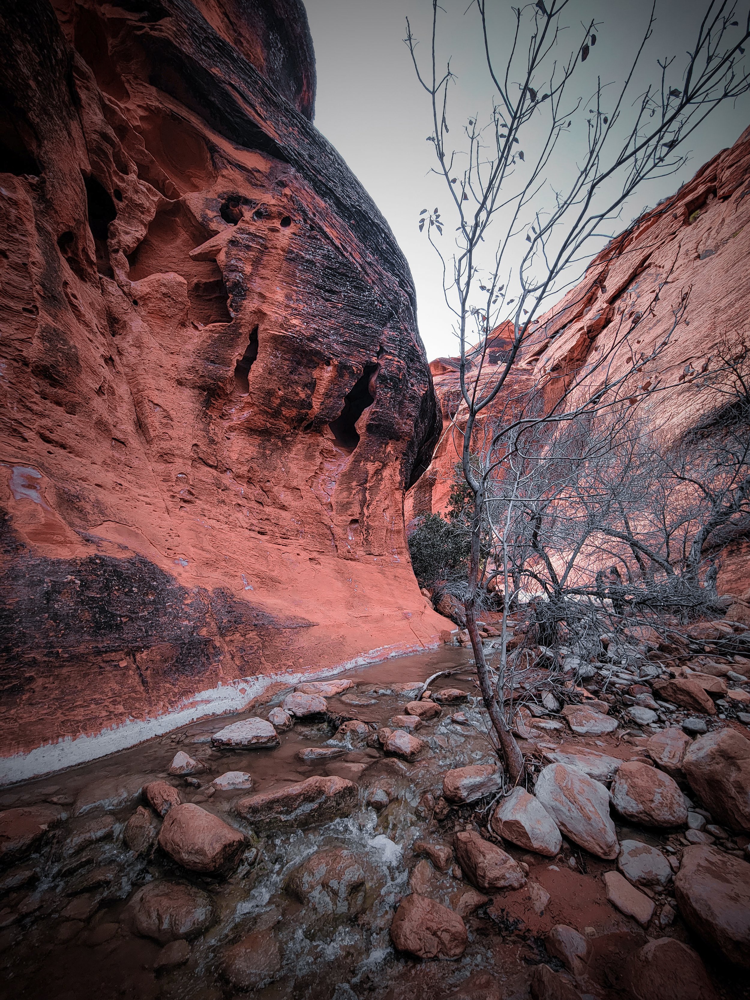 Mountain side.jpg