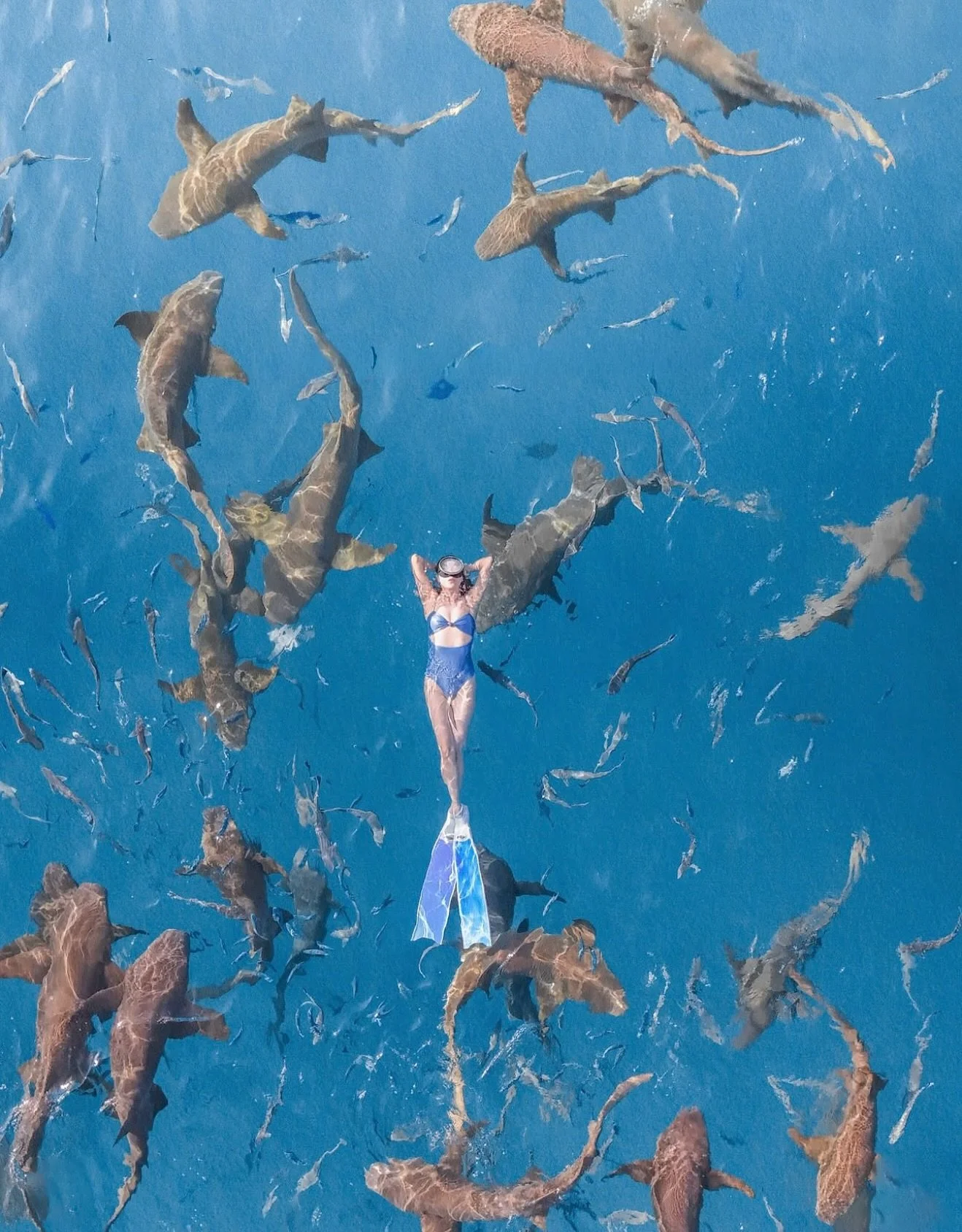 There&rsquo;s nothing quite like swimming with sharks &mdash; a moment that changes the way you see the ocean forever. 🦈💙

When you learn to share the water with them &mdash; calmly, respectfully, and with the right guidance &mdash; fear turns into