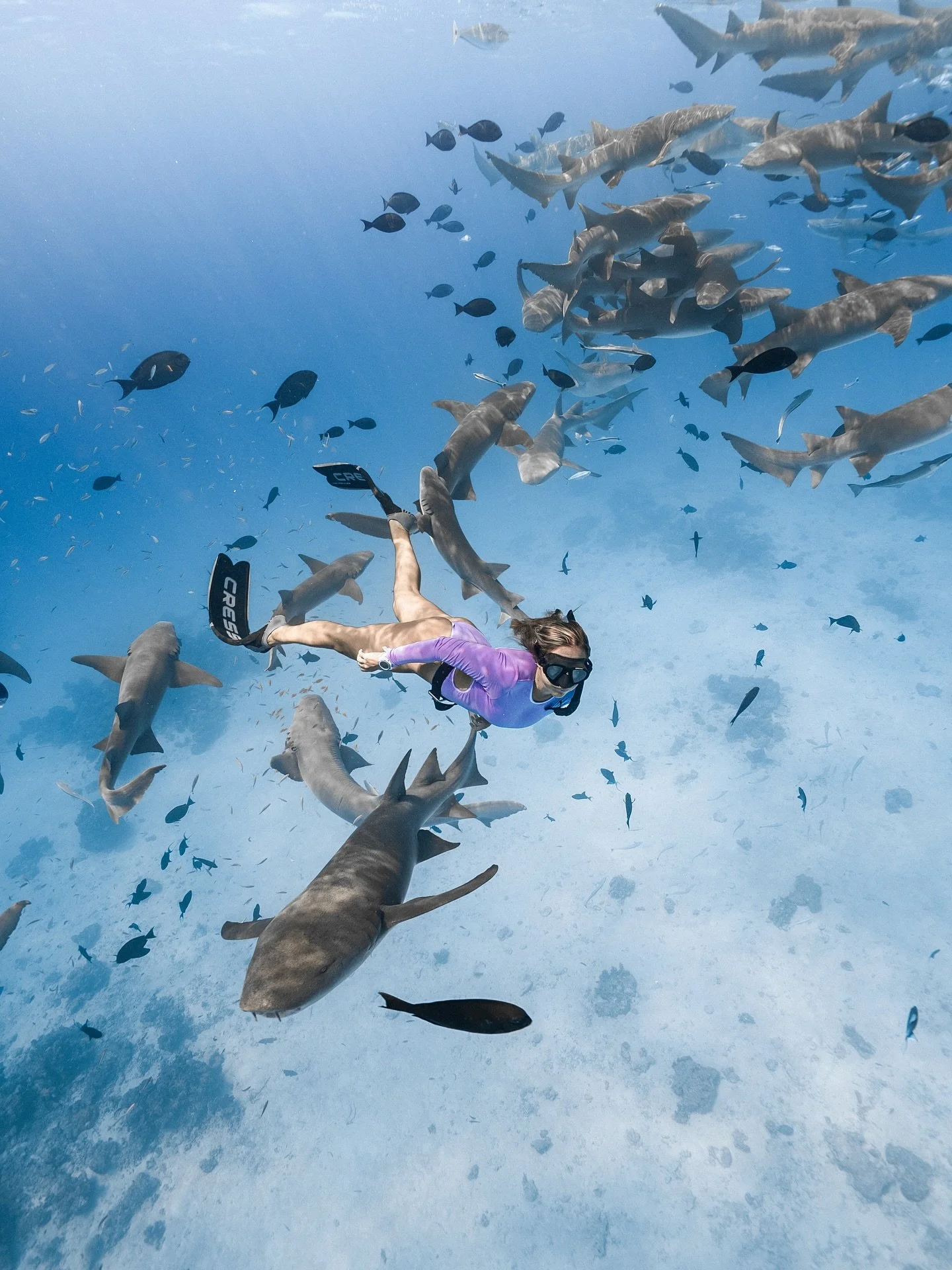 Swimming alongside nurse sharks isn&rsquo;t just a thrill &mdash; it is a lesson in letting go of fear and meeting the ocean with respect.🦈💙

These curious sharks are some of the most peaceful creatures in the Maldives, and sharing the water with t