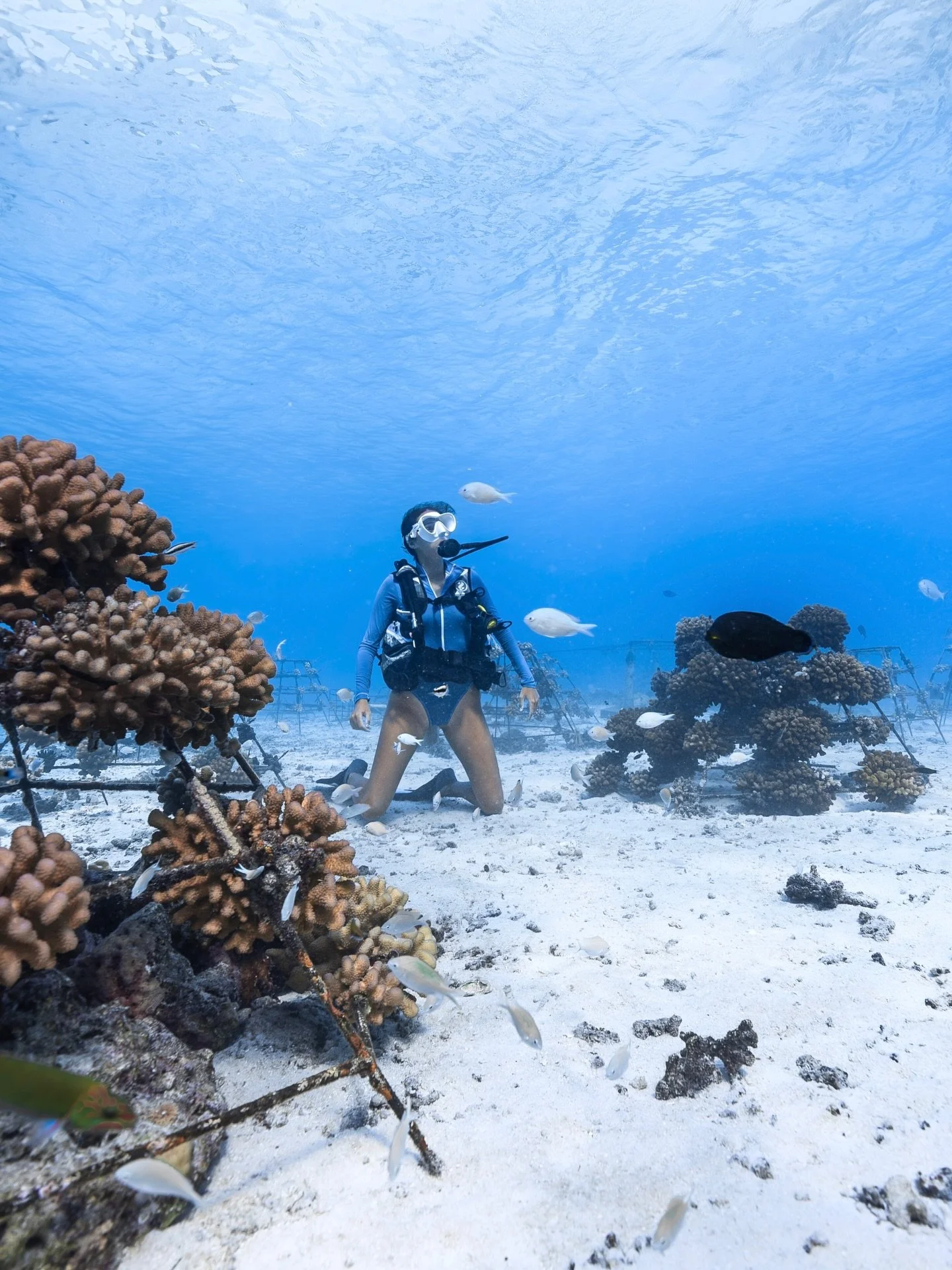 SCUBA DAY WITH KANDU &mdash; FOR EVERYONE! 🤿

Whether you&rsquo;re a seasoned diver or taking your very first breath underwater, this trip is for you!

At Kandu, we&rsquo;ve designed an unforgettable scuba day experience that welcomes both certified