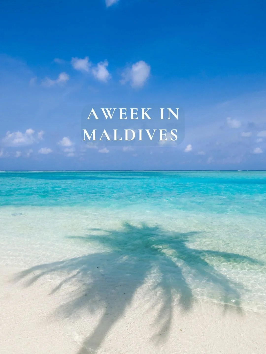 A week with us in the Maldives 🐢🩵🐟

Turtles cruising past our fins, dolphins escorting our incredible @kanduboat, manta rays looping beneath us,  sandbank BBQs, uninhabited islands, salty hair, full hearts, and a crew that turned strangers into oc