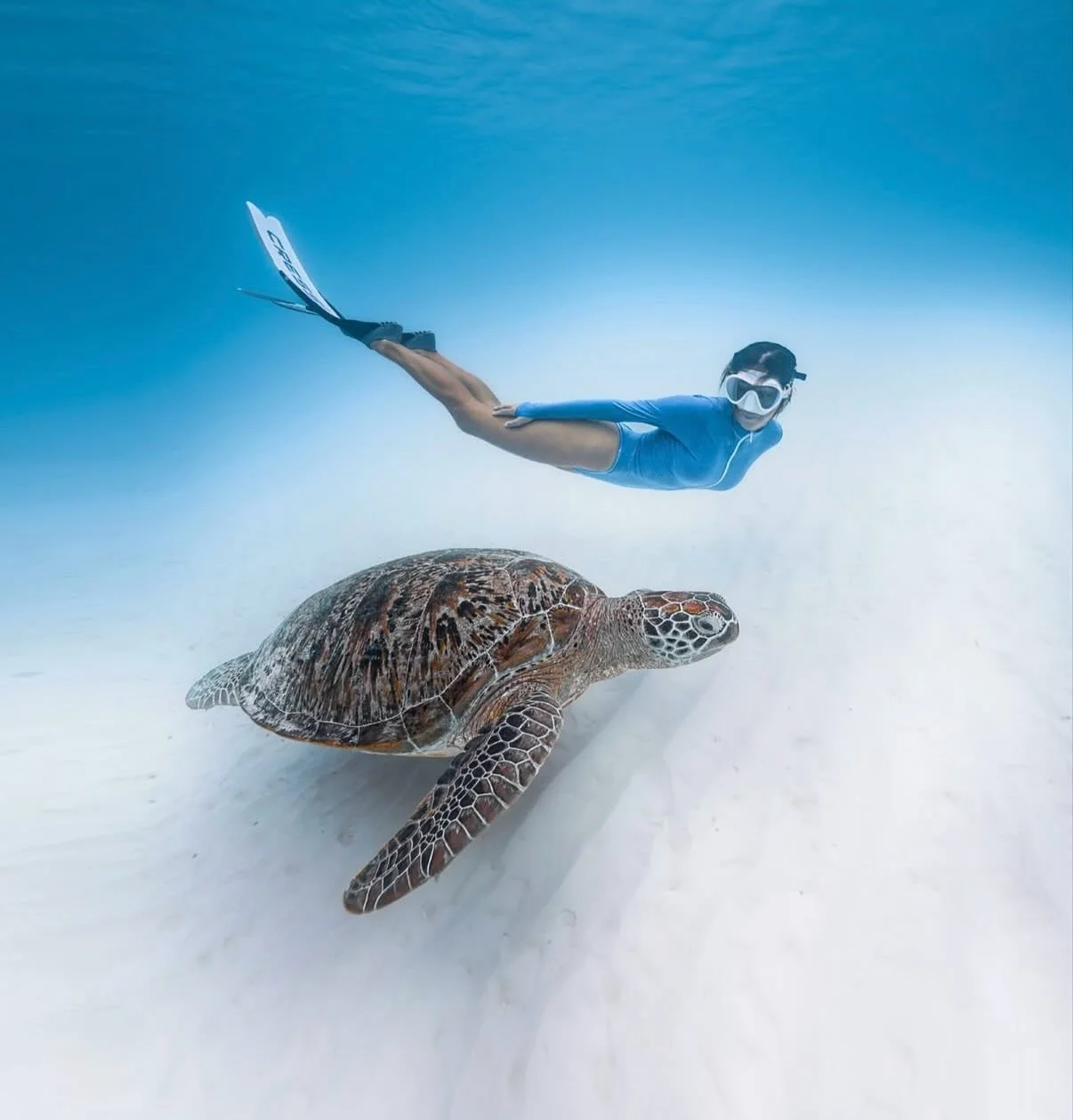 Just a little photo dump of what life looks like out here with us at Kandu Maldives. 🐟🌴🐠

Sharks. Turtles. Mantas. Moments you don&rsquo;t forget.

Boat days with the best vibes, spectacular scenery in every direction, remote sandbank lunches, and