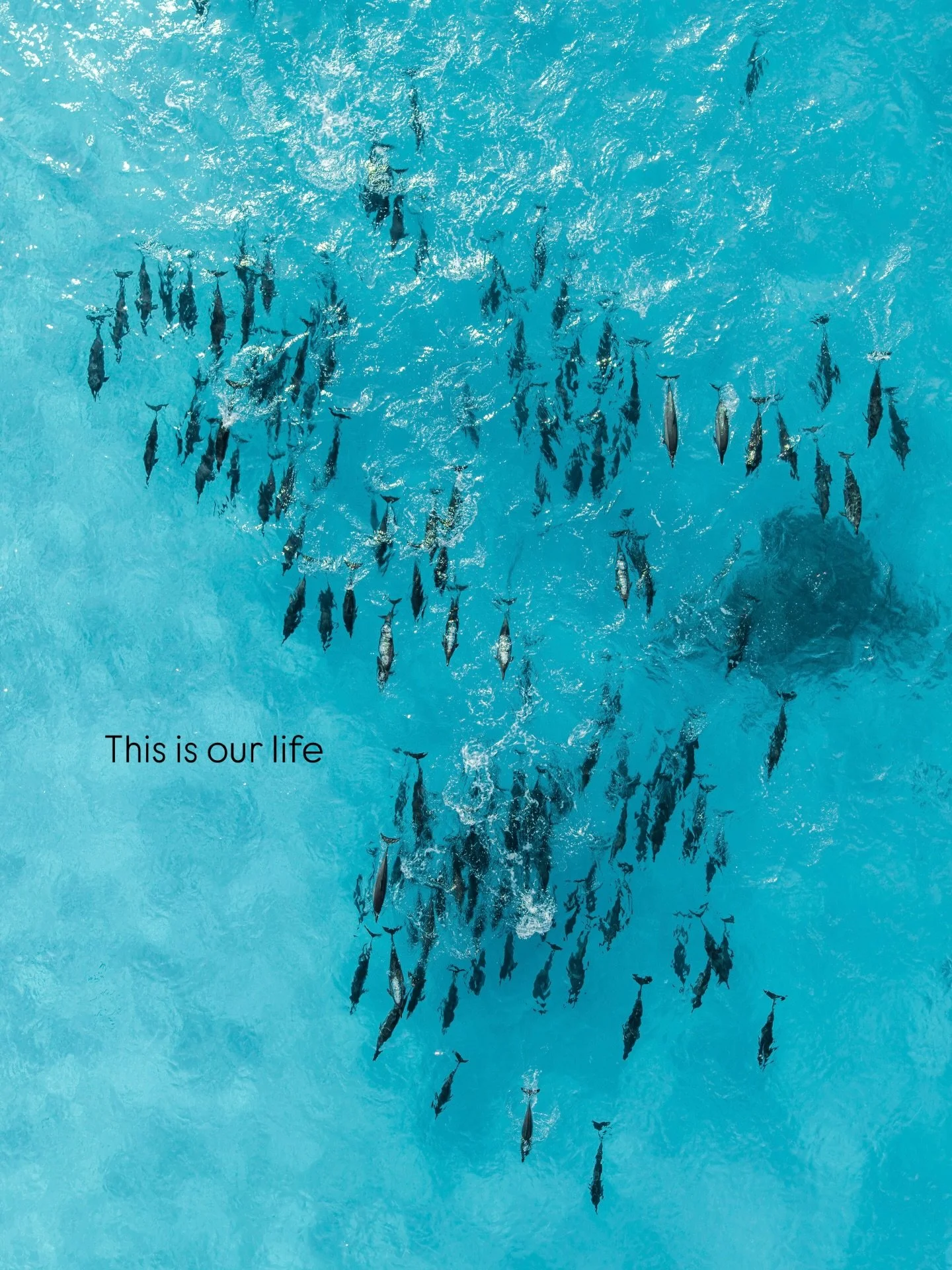 I grew up in this.

Not as a job.
Not as a business.

Just as life.

The ocean was always there.
The islands were always there.

I didn&rsquo;t learn this from anywhere.
I learned it by being in it.

Now I just share it the way I know.

No rushing.
N