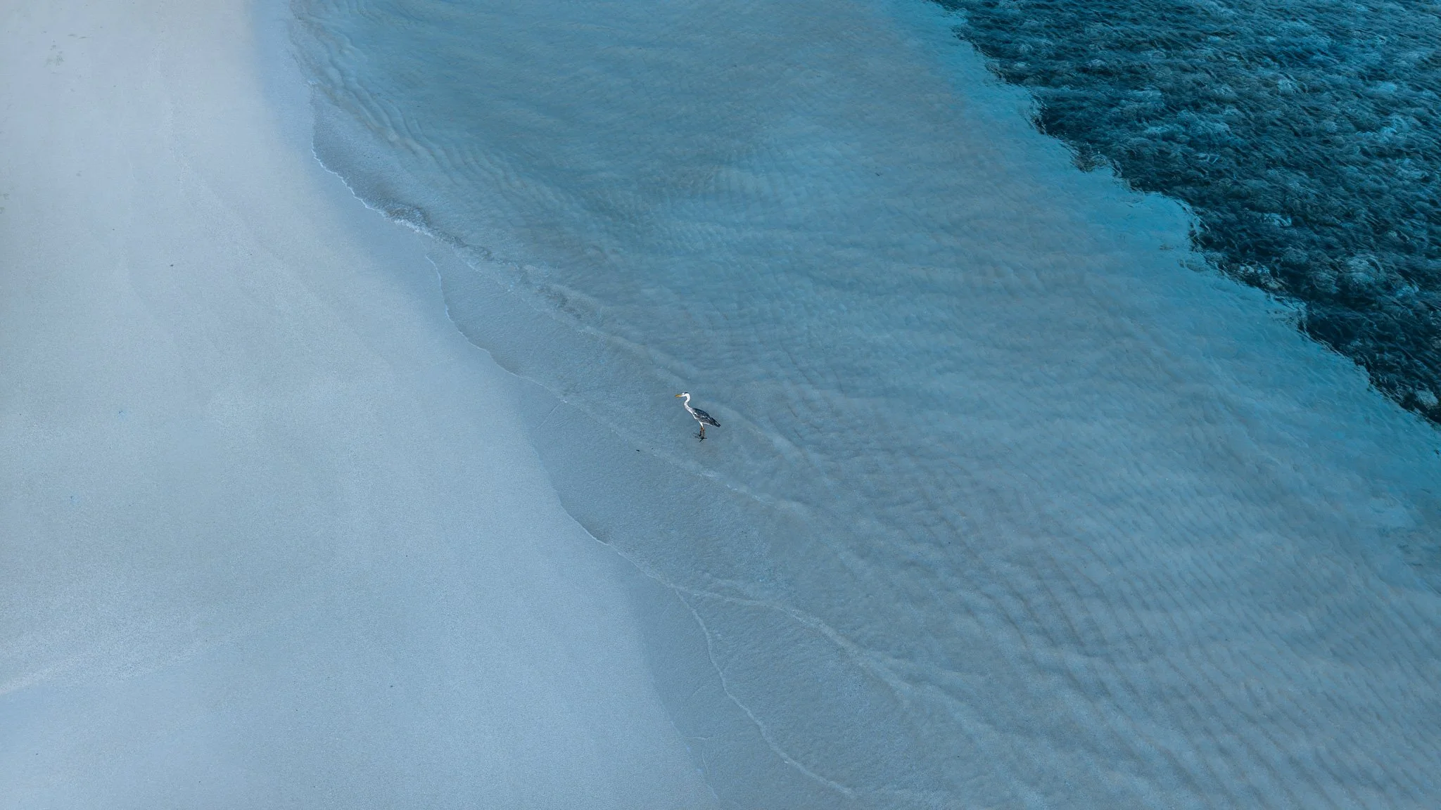 DJI_20240918091107_0222_D.jpg