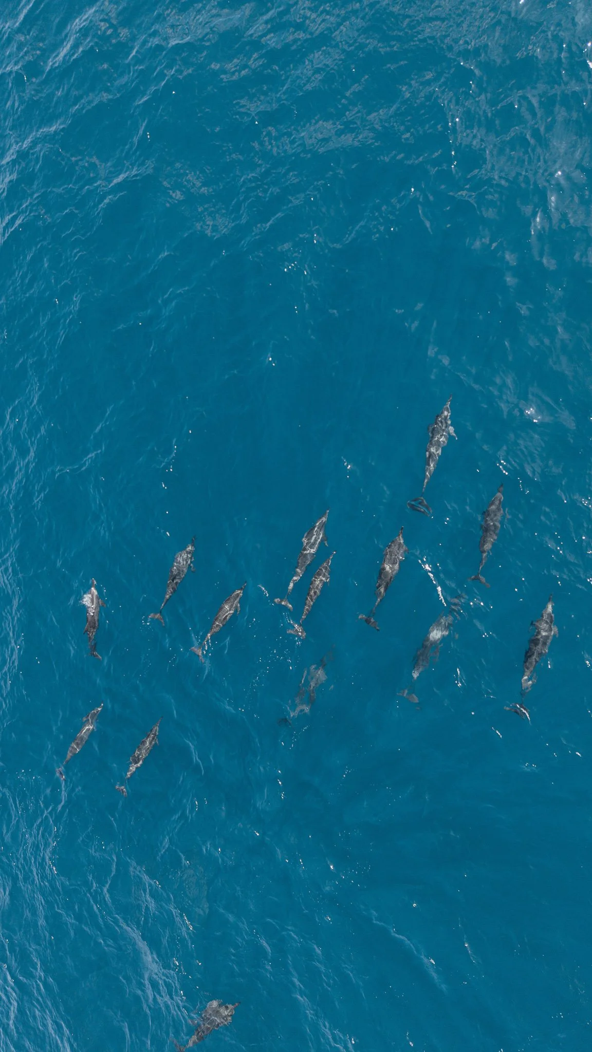 dji_fly_20251103_093234_0154_1762147580945_photo.jpg