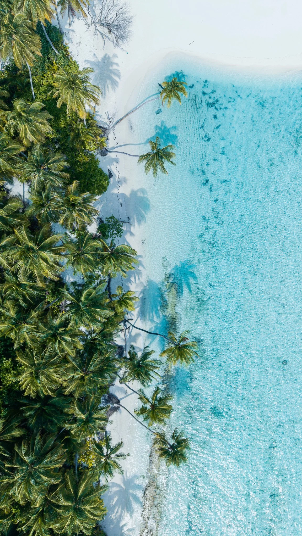 DJI_20260108170257_0410_D.jpg