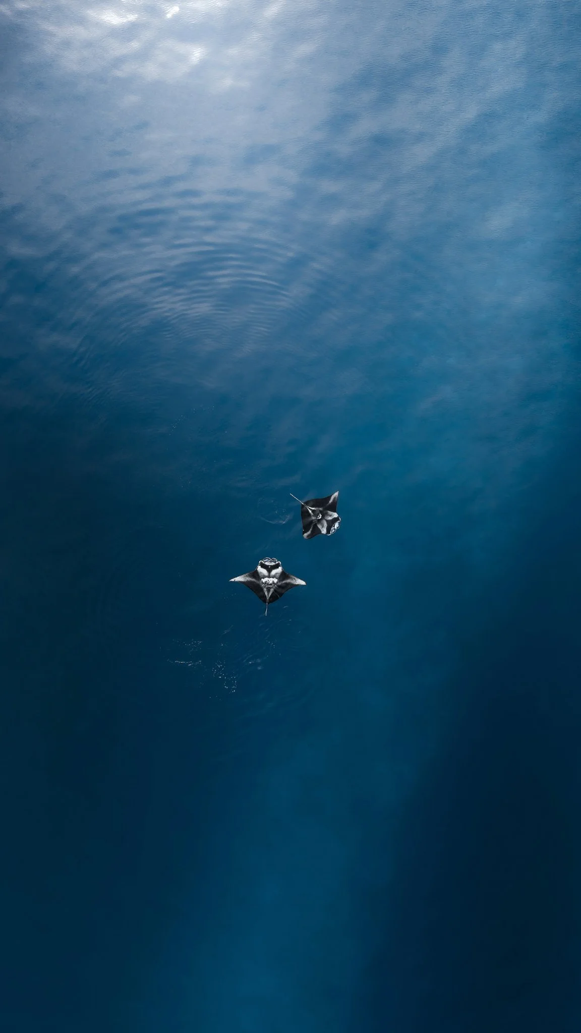 DJI_20250701121503_0460_D1.jpg