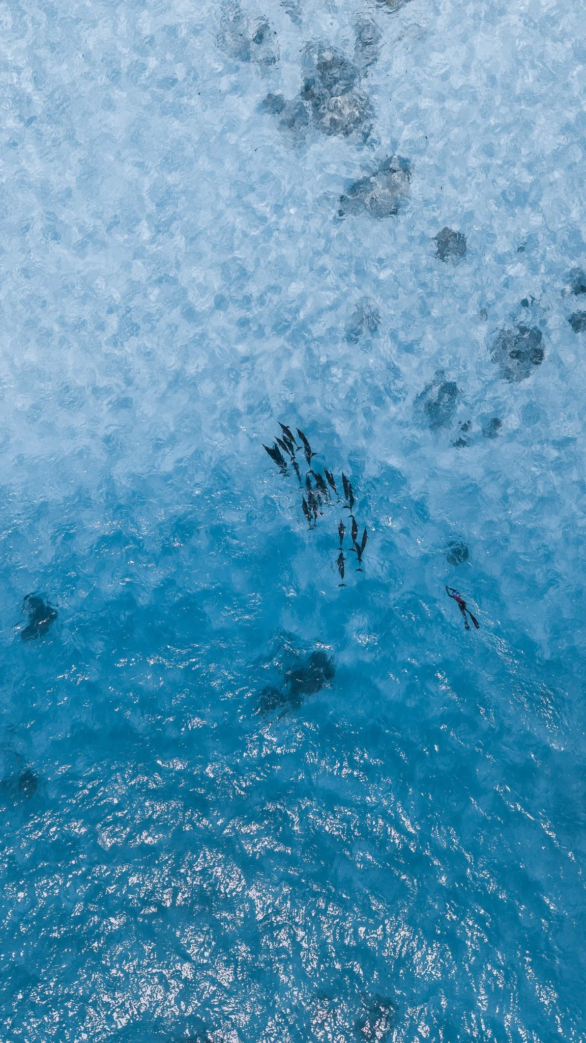 DJI_20260214175137_0026_D-2.jpg