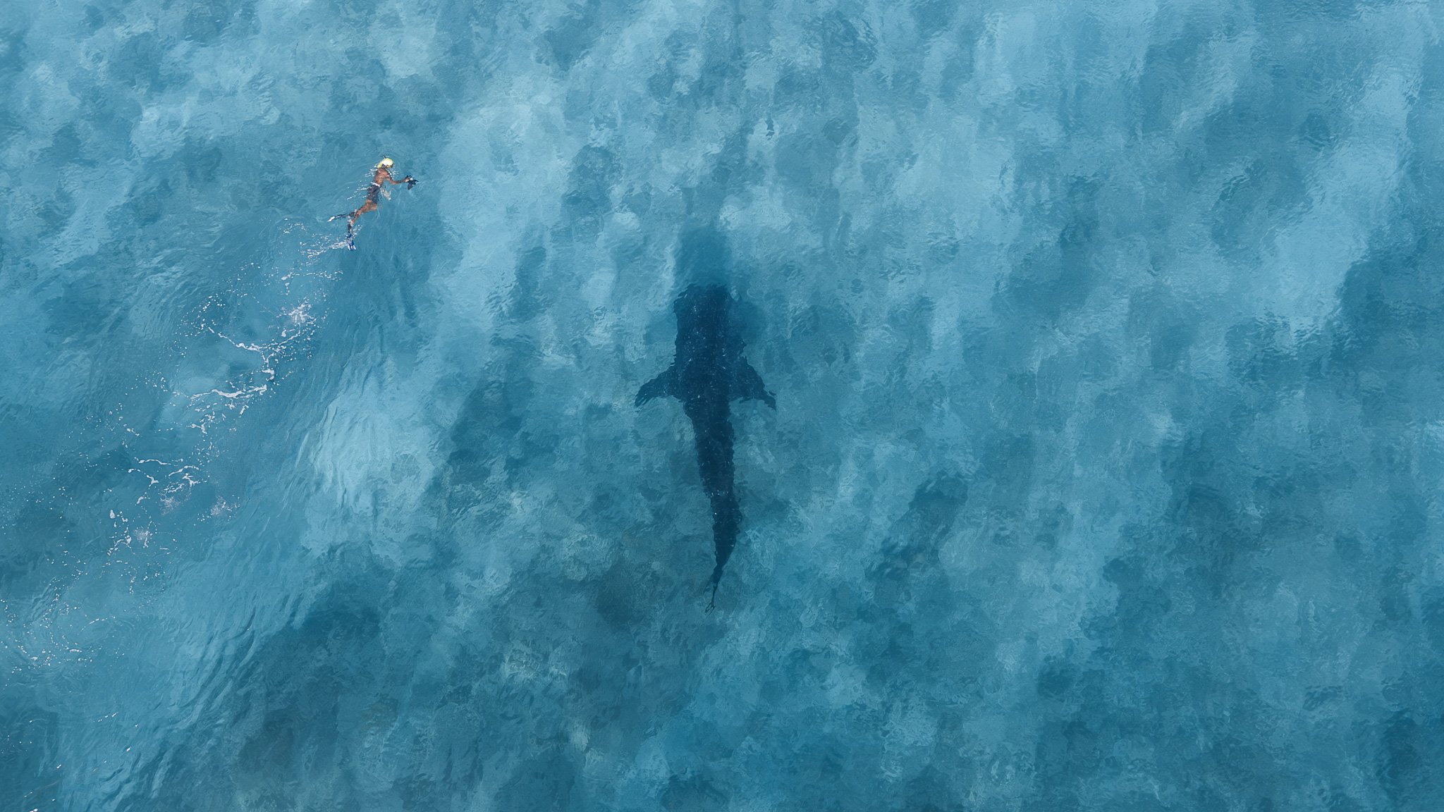DJI_20260402184140_0163_D.jpg