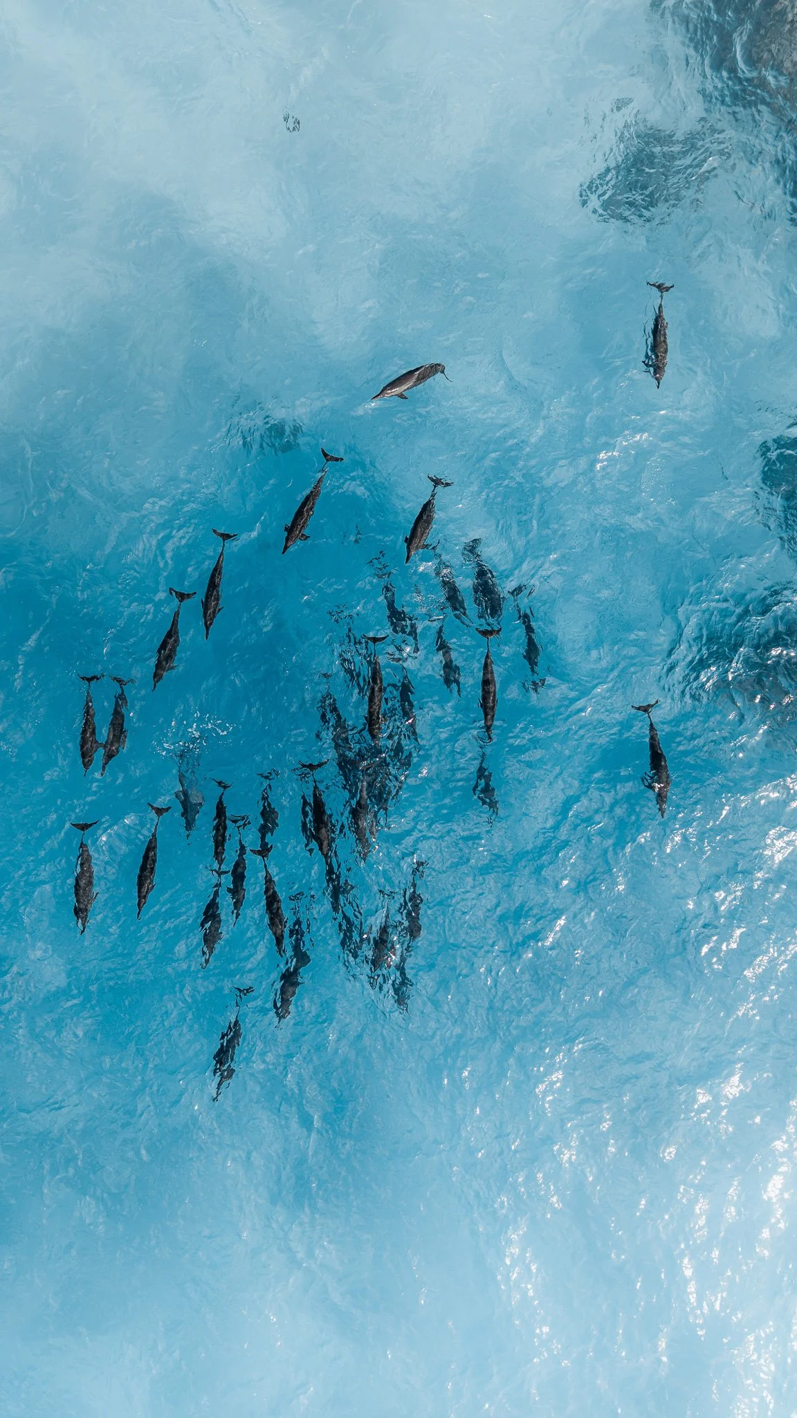 DJI_20260116121223_0044_D.jpg