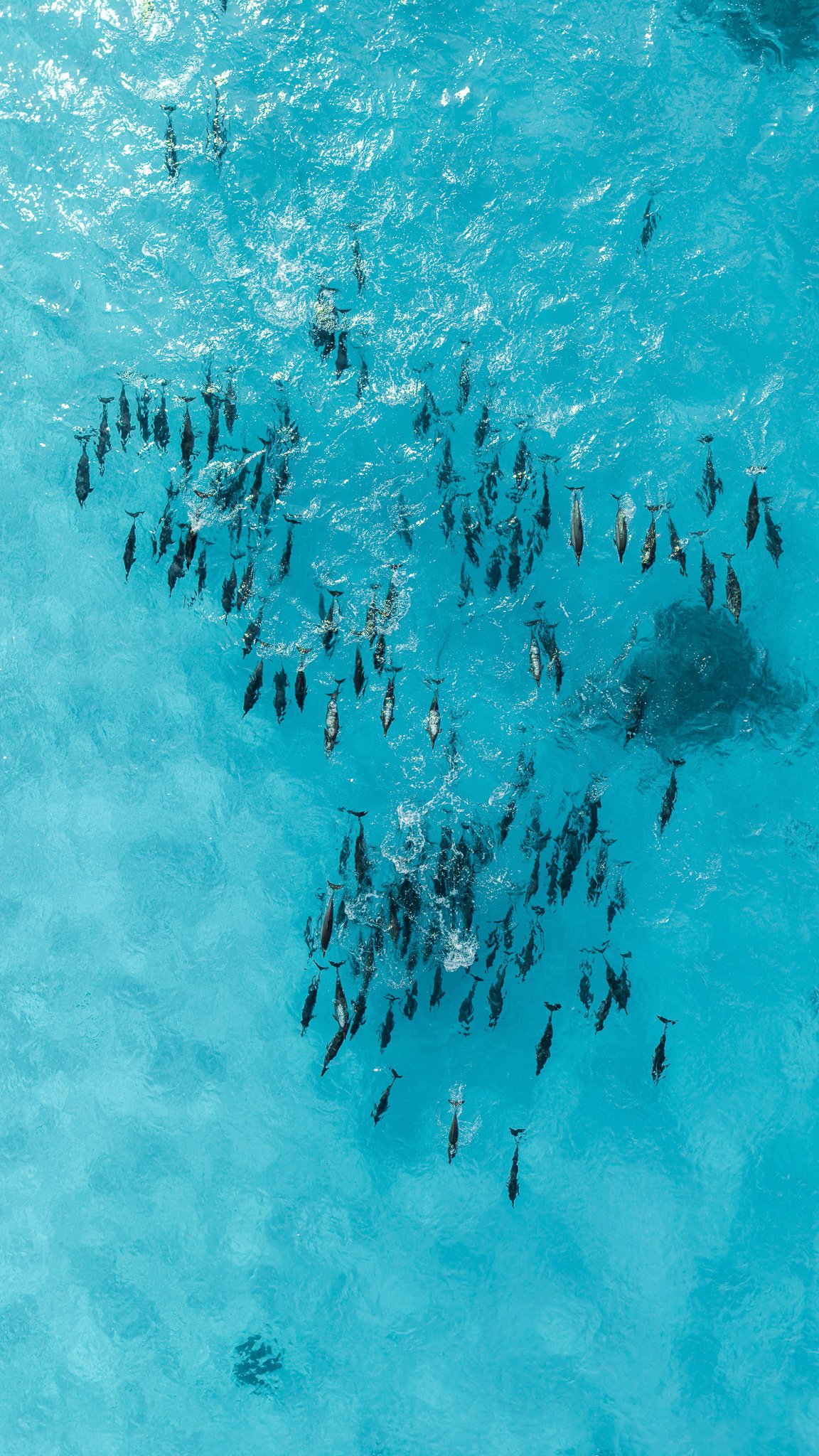 DJI_20260116115823_0006_D.jpg