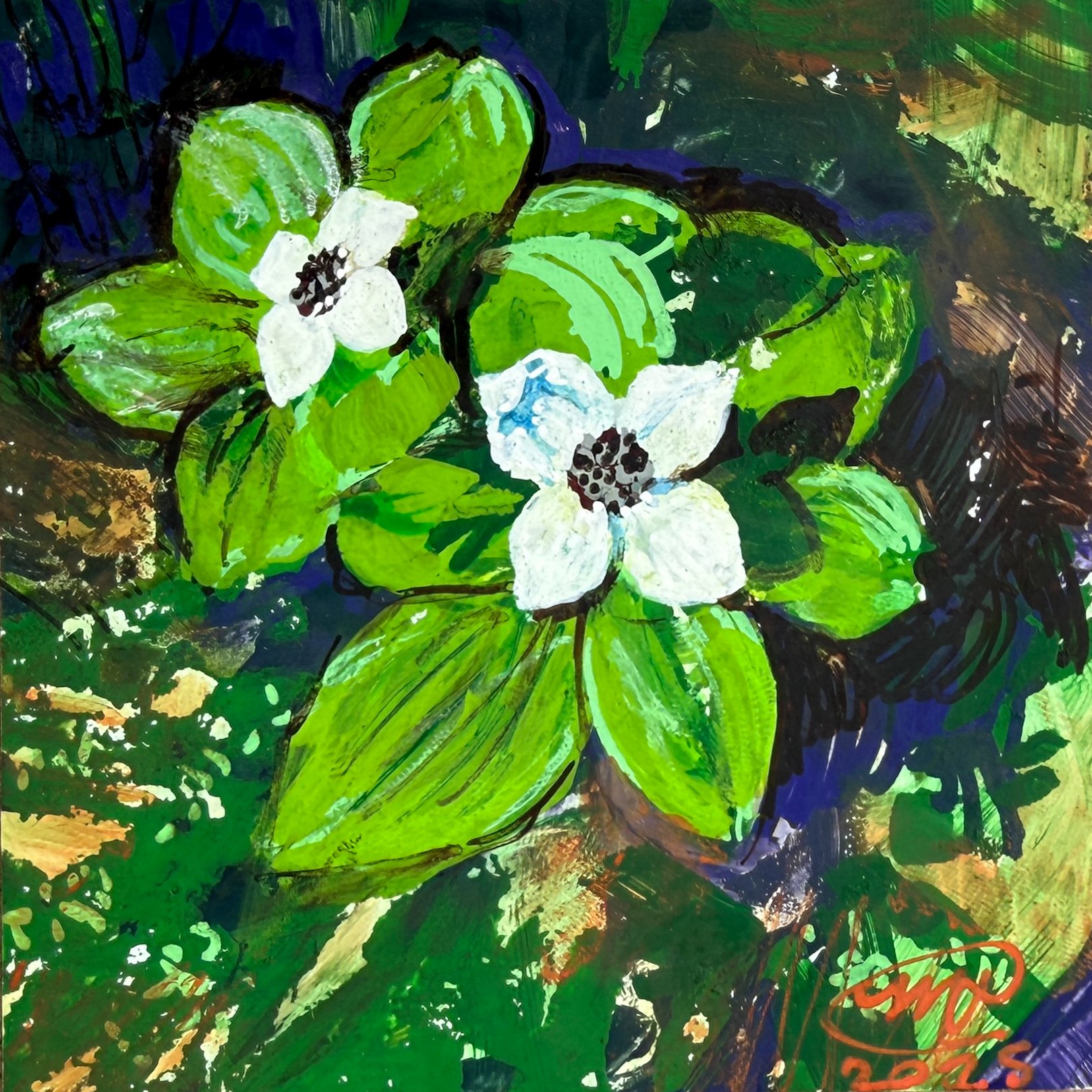 "Little Dogwood" 4"x4" Print