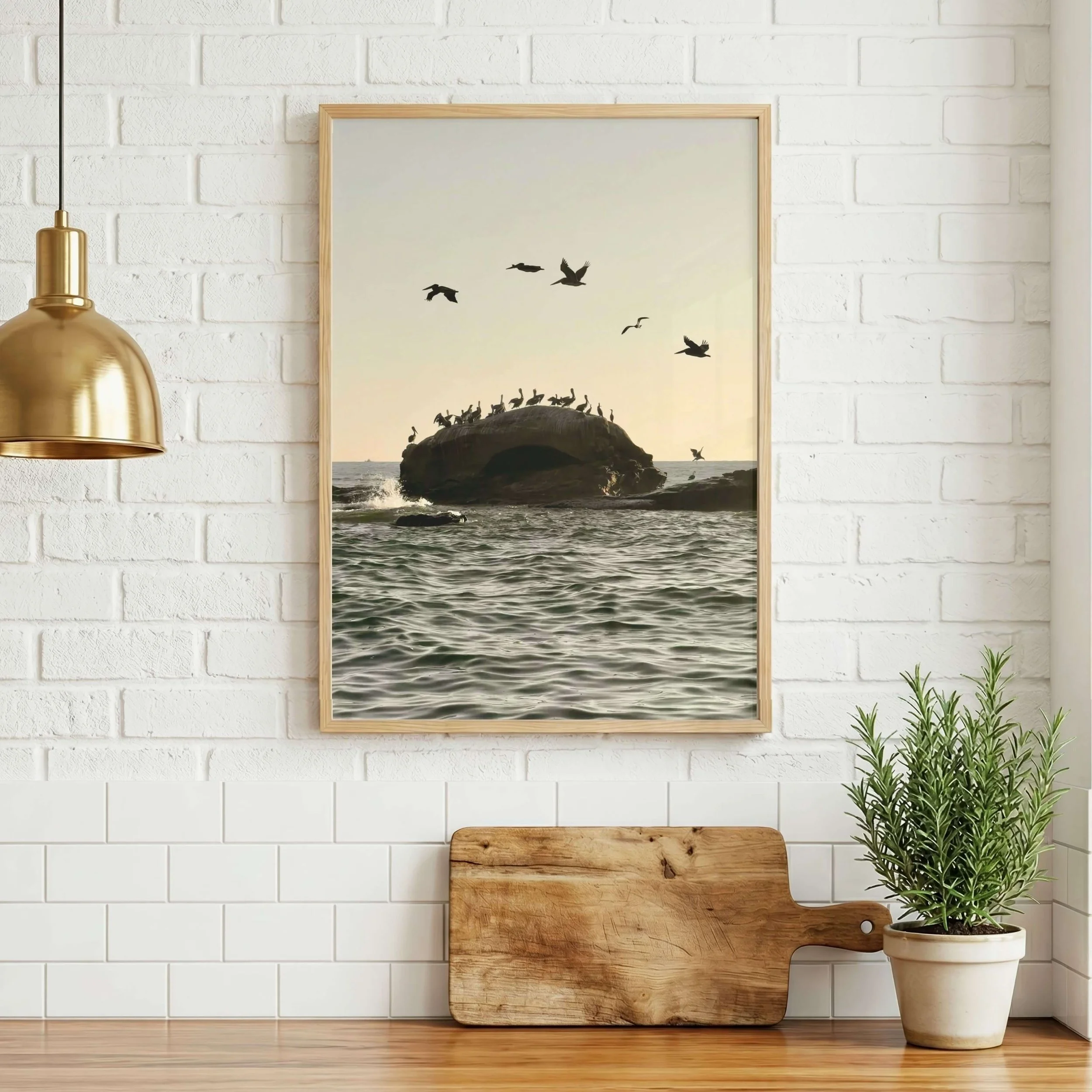 Bird Rock Pelicans Art Print_04.jpg