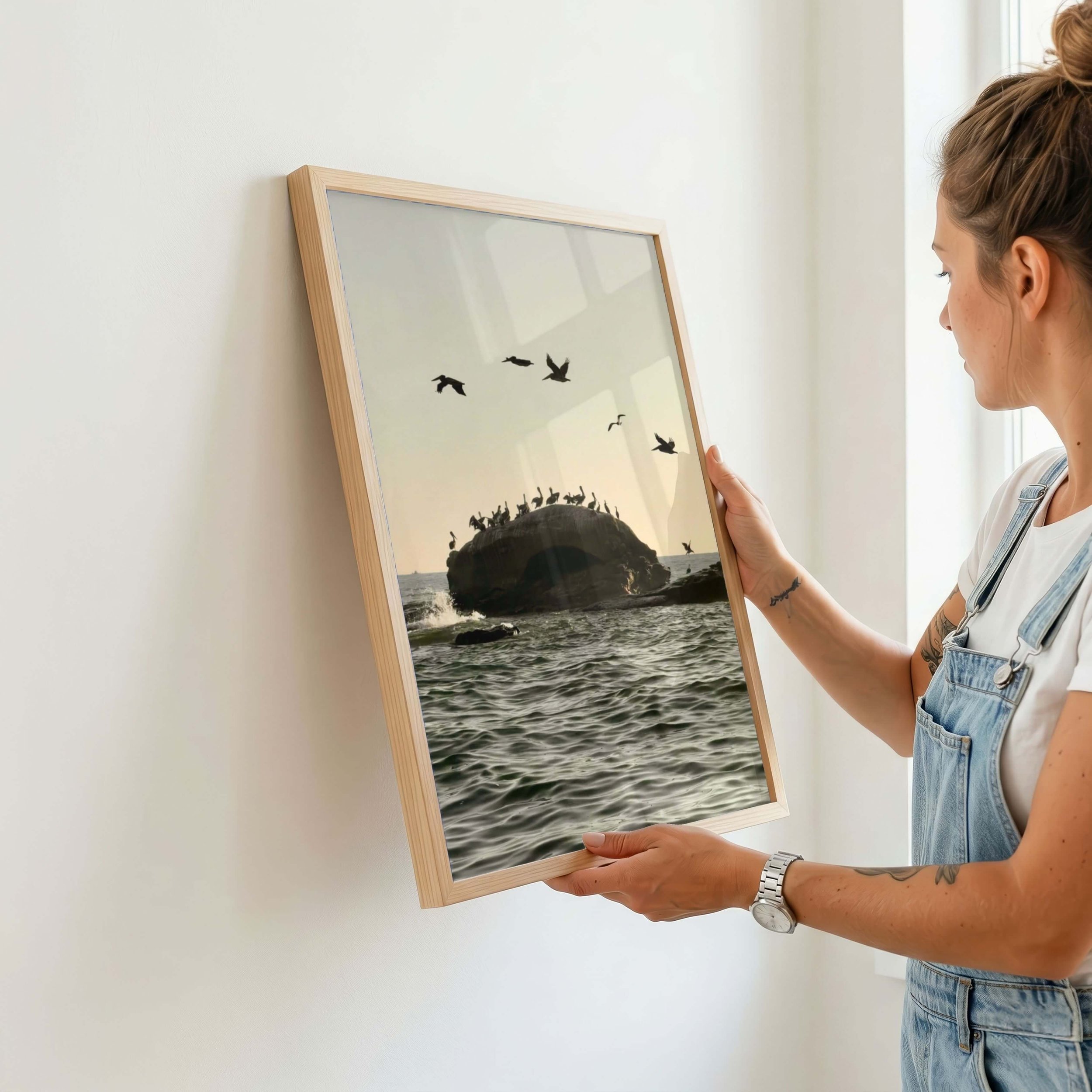 Bird Rock Pelicans Art Print_10.jpg