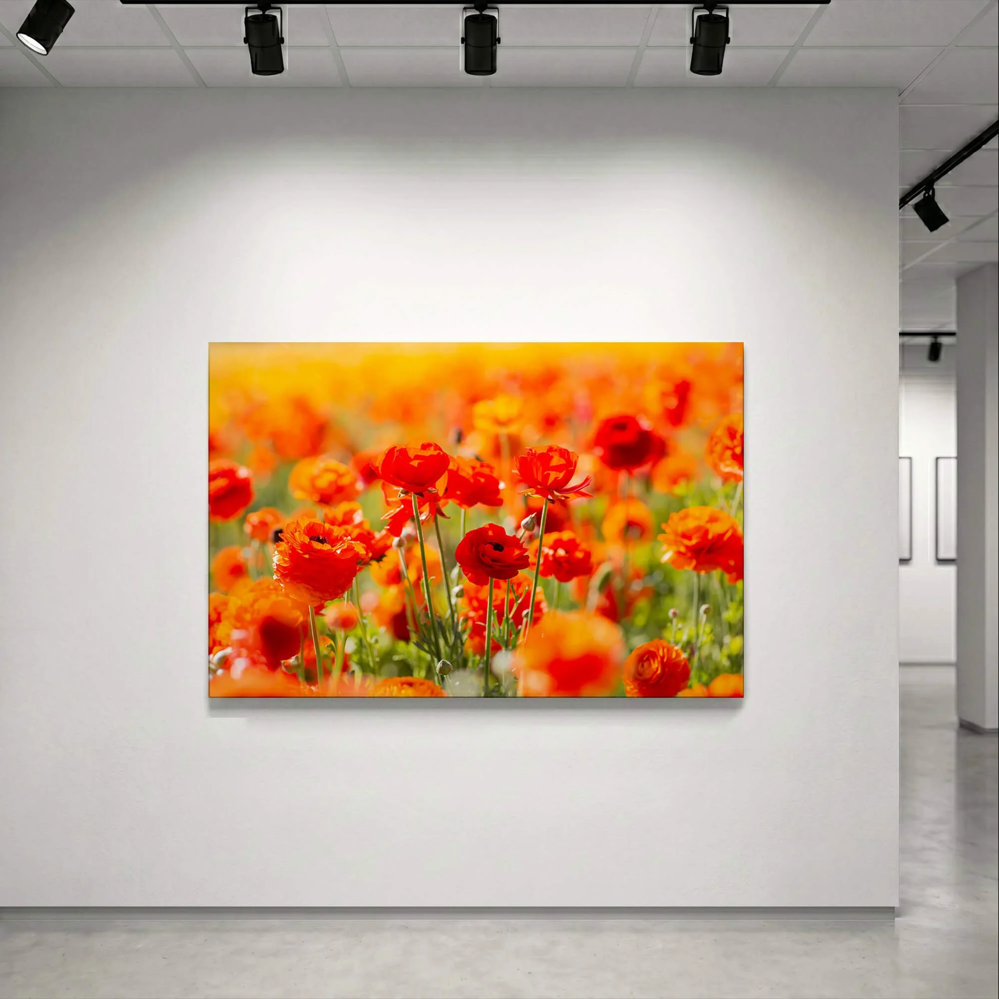 Fine Art Ranunculus Photography Print_01.jpg