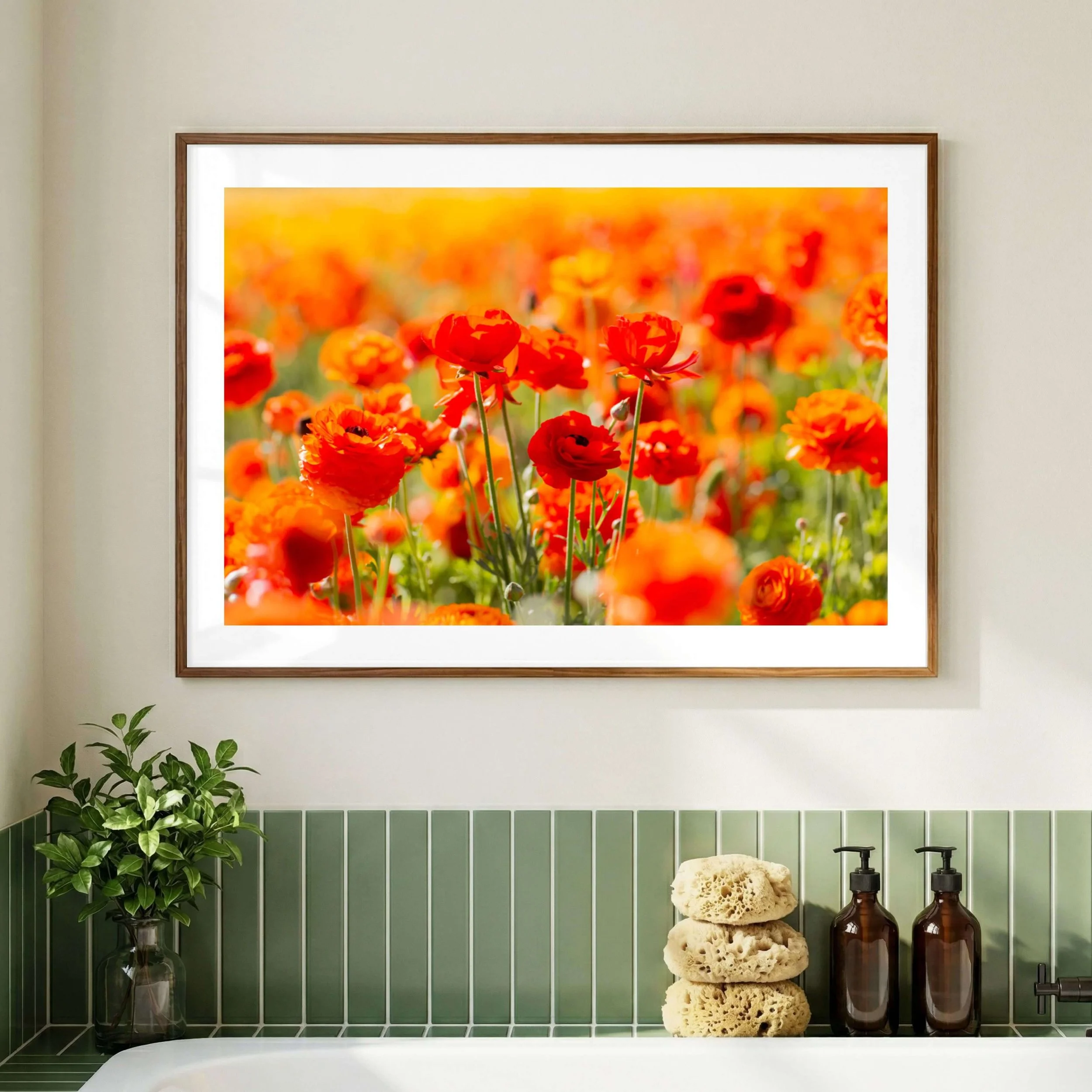Fine Art Ranunculus Photography Print_015.jpg