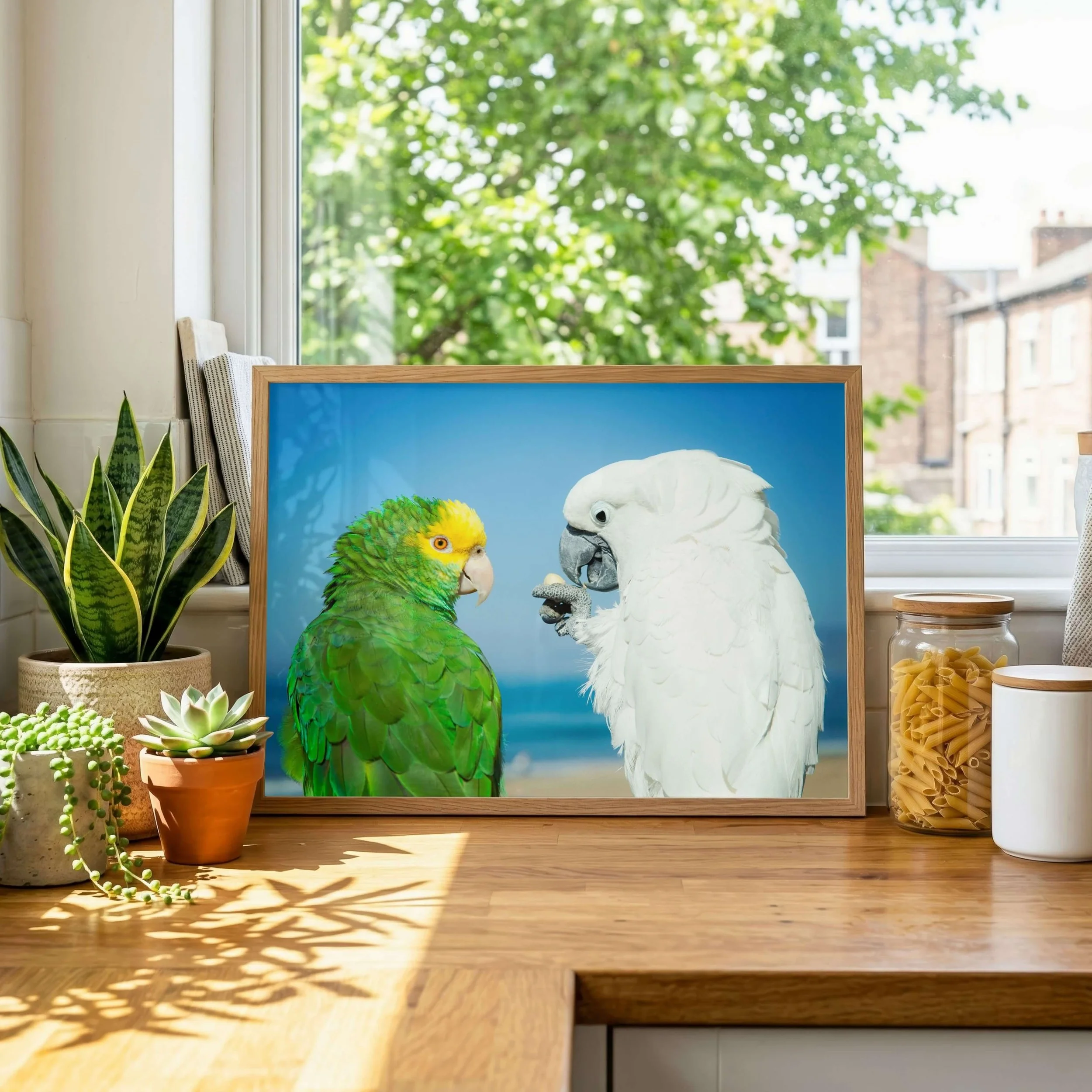 best-friends-parrot-photography-print-2.jpg