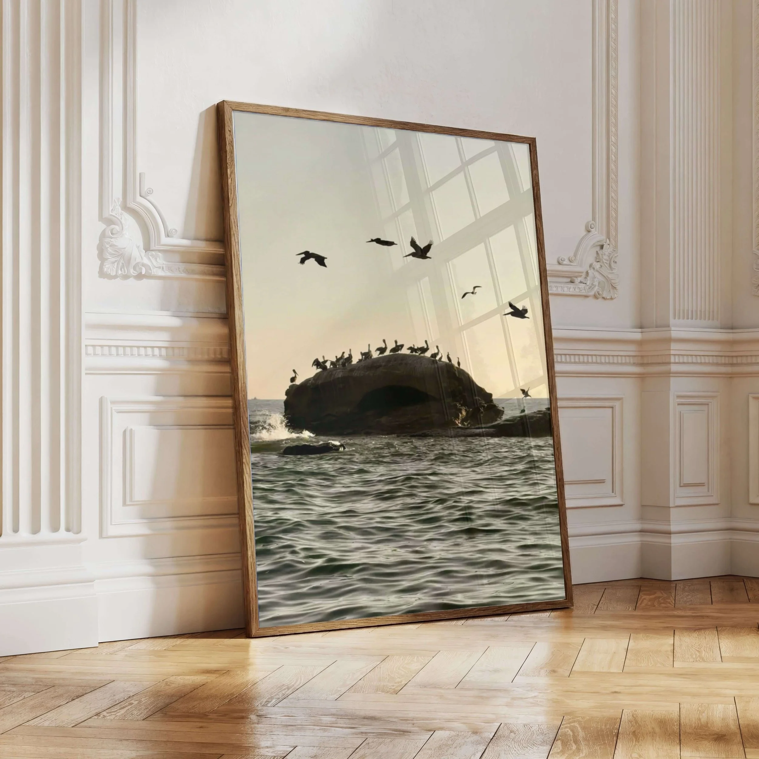 Bird Rock Pelicans Art Print_09.jpg