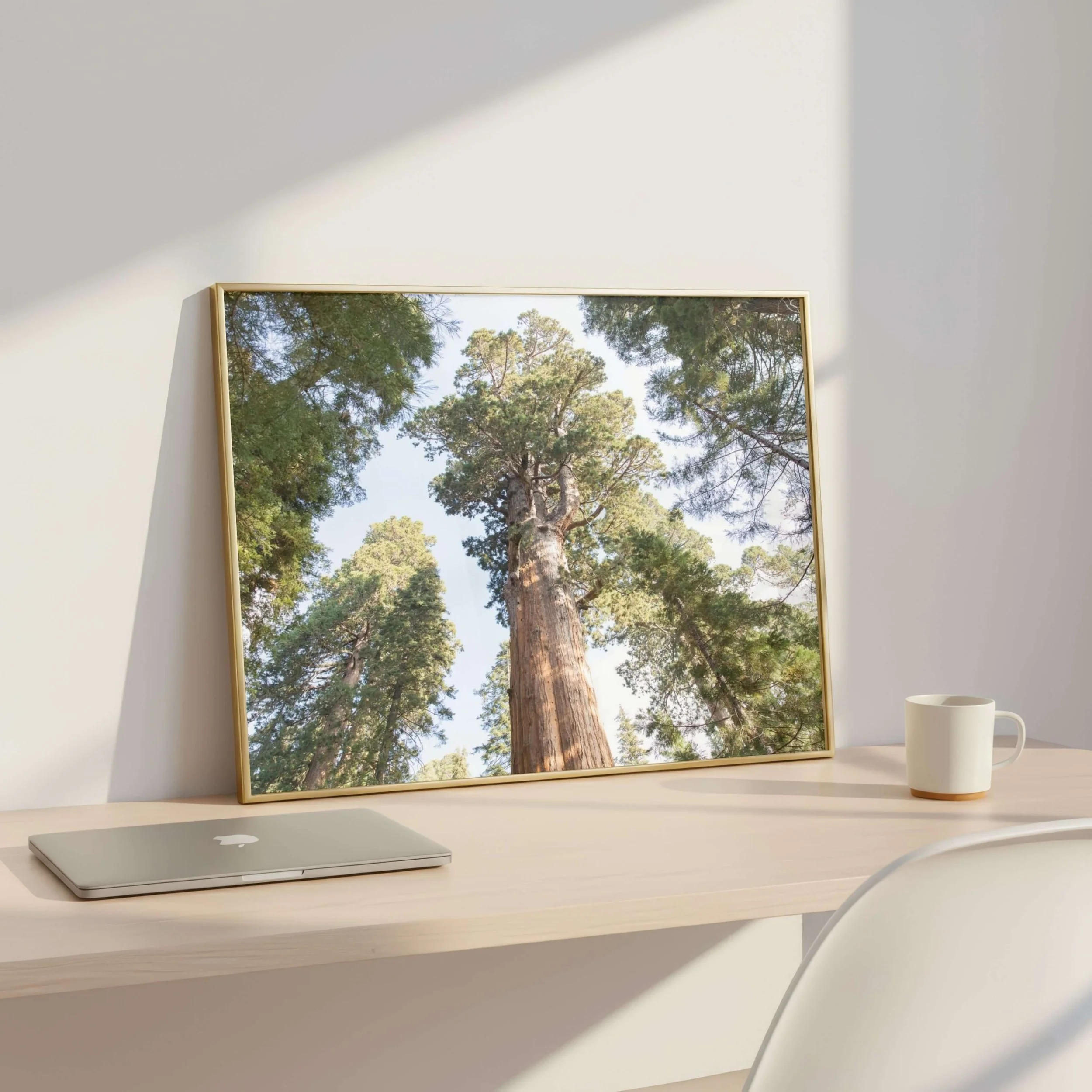 Sequoia photography print_02.jpg