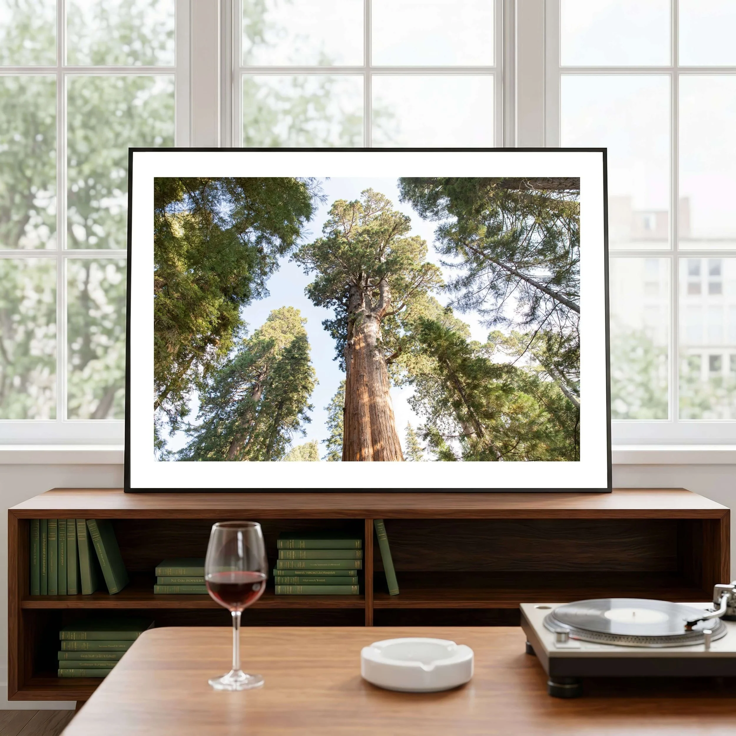Sequoia photography print_05.jpg