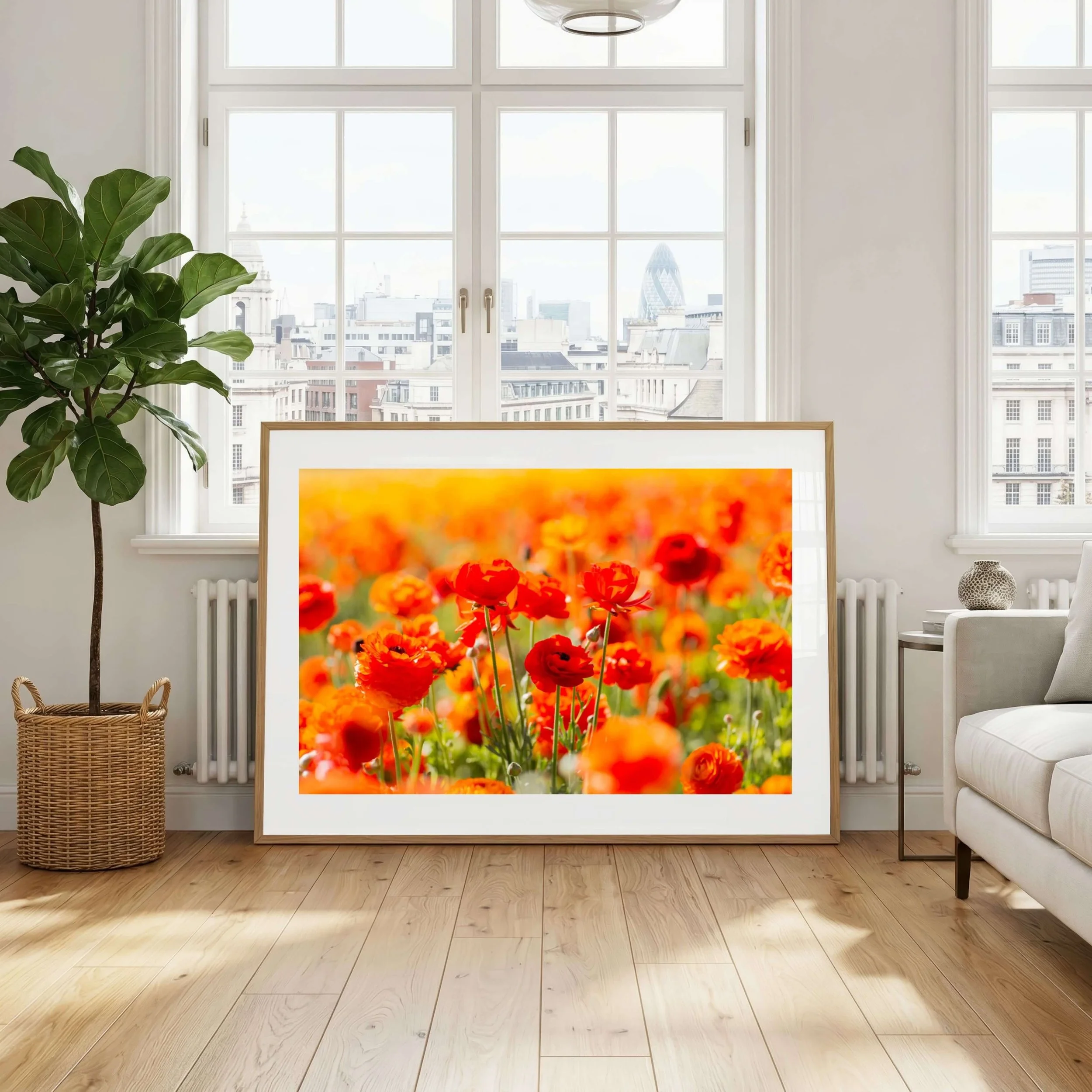 Fine Art Ranunculus Photography Print_06.jpg