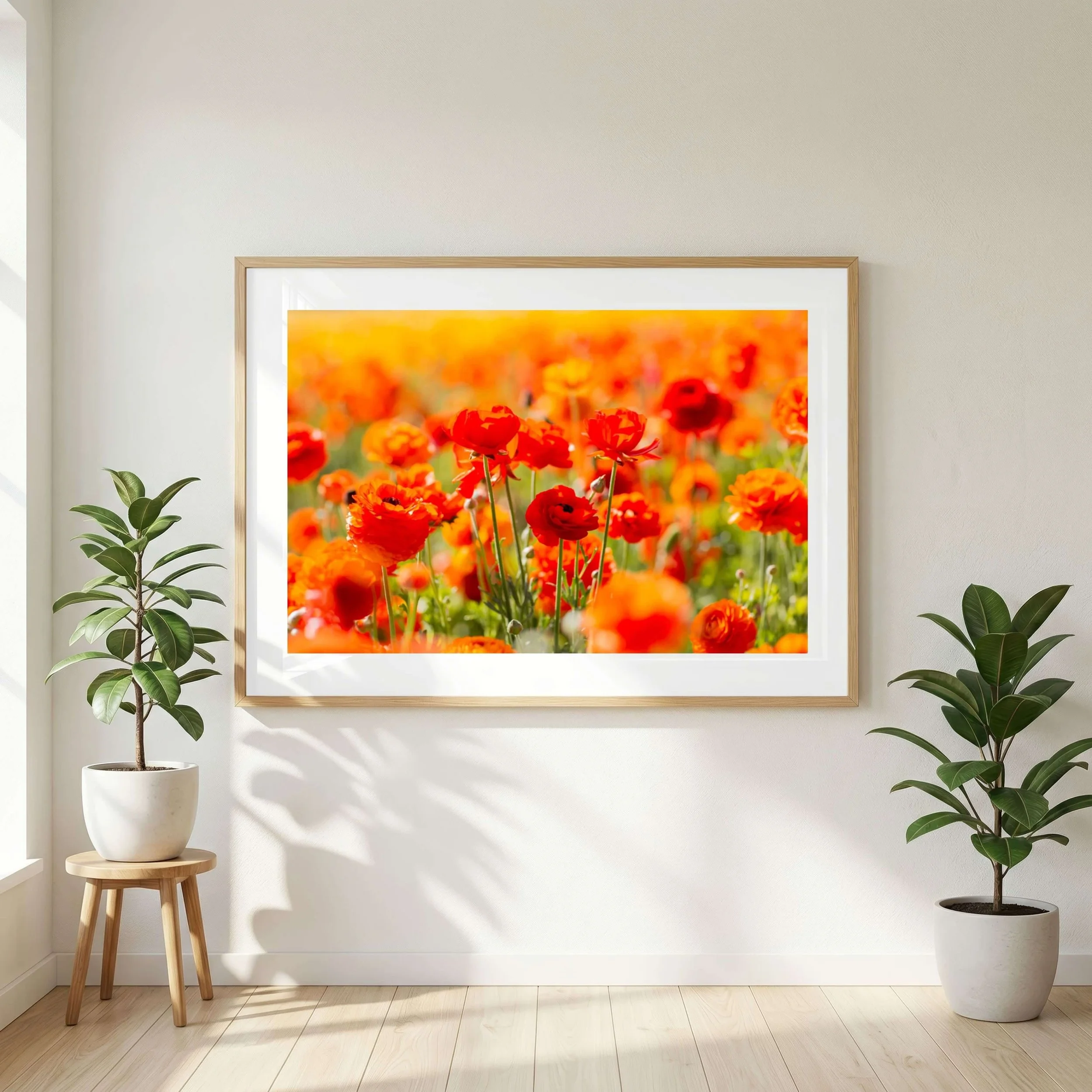 Fine Art Ranunculus Photography Print_012.jpg