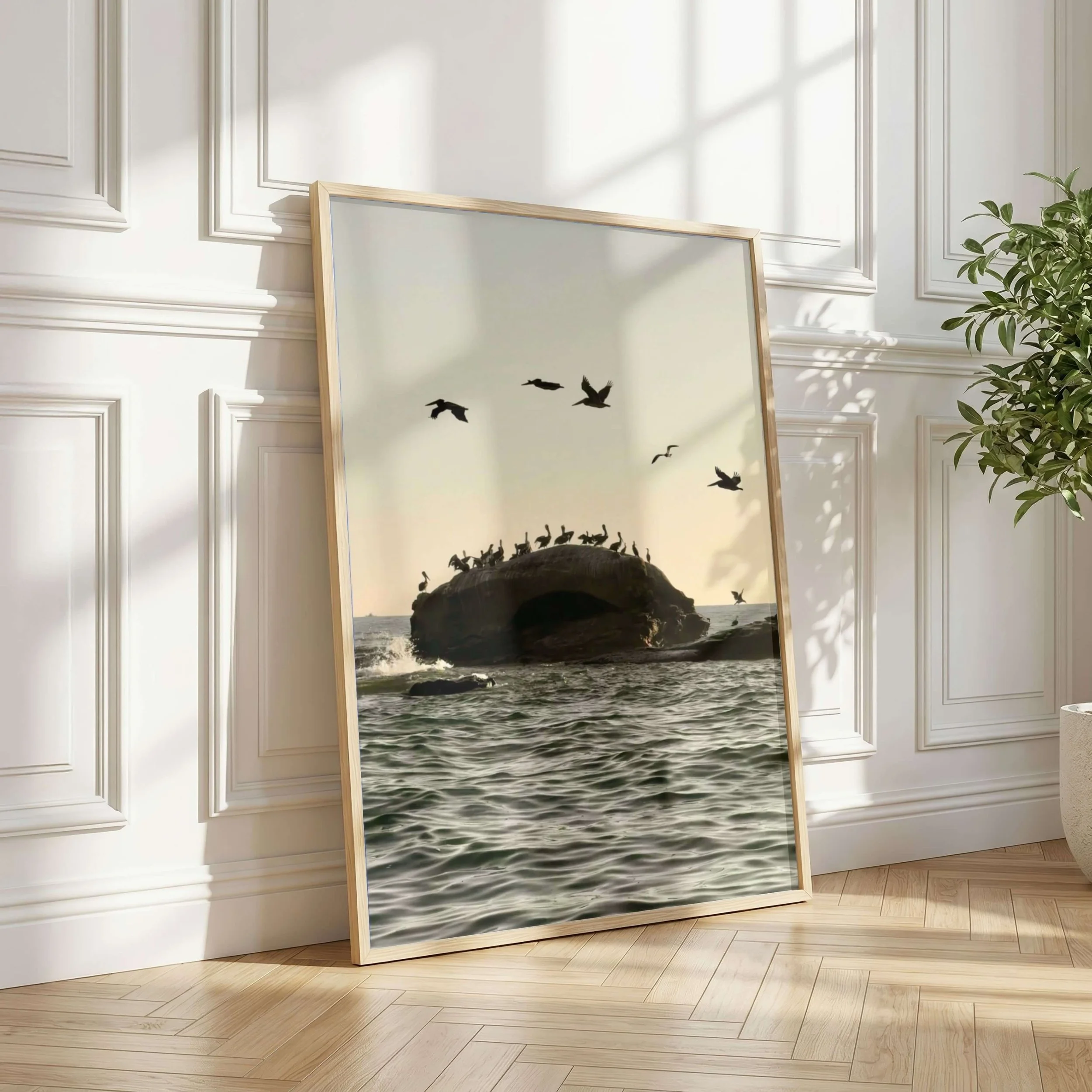 Bird Rock Pelicans Art Print_06.jpg
