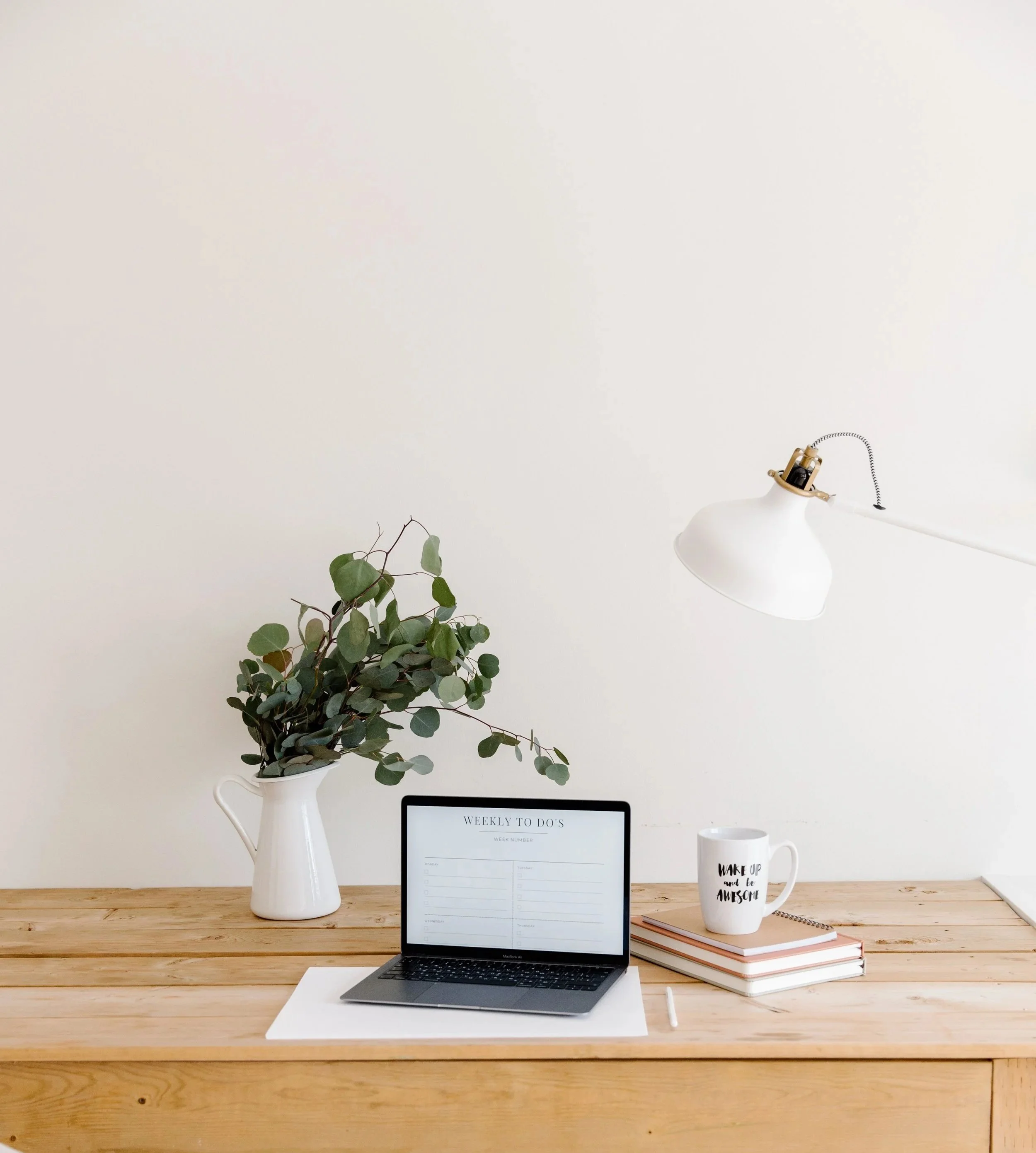 Connect with Carrot Seed Social