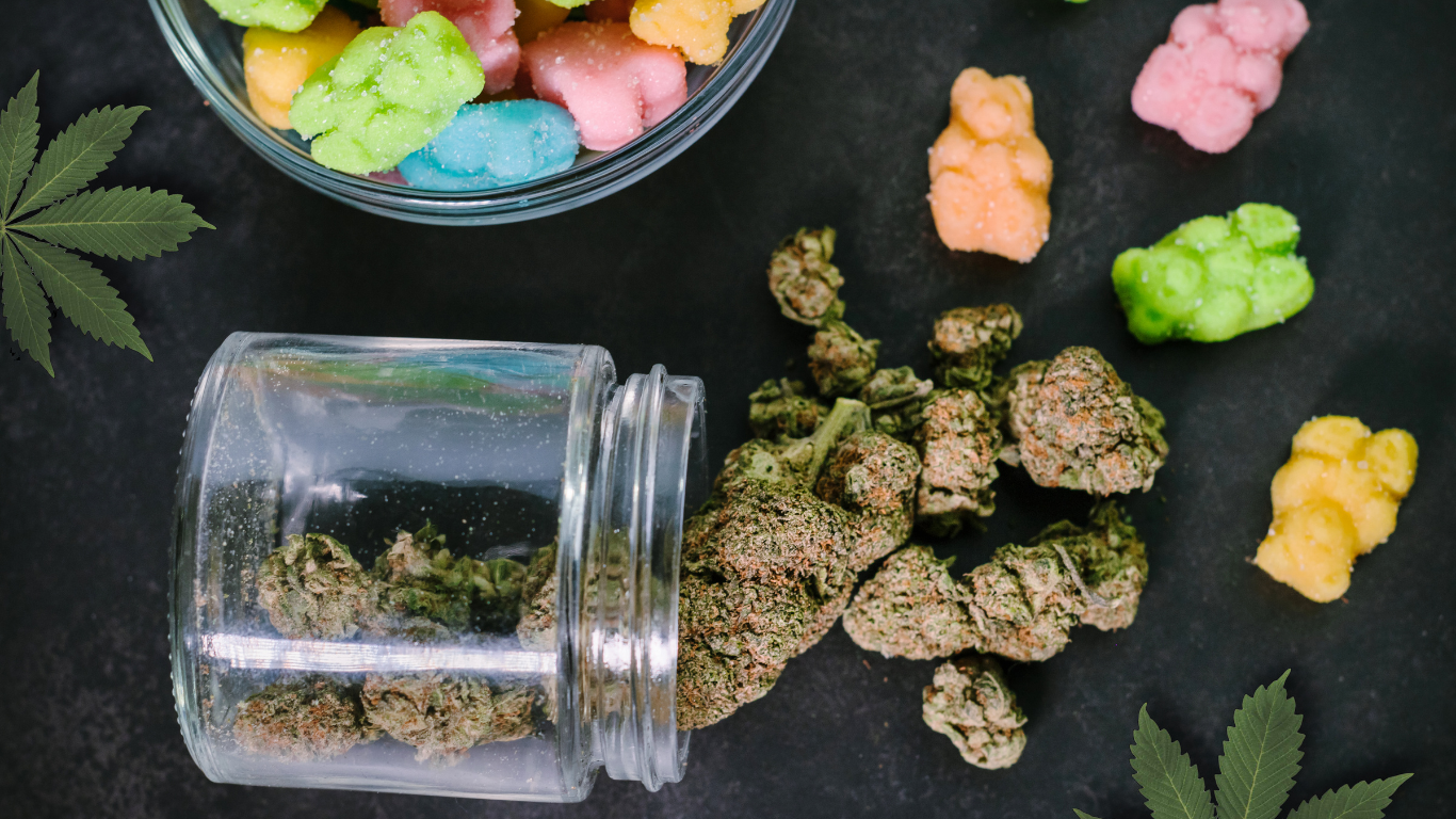 Leucovorin, Bumetanide, CBD, and Other Alternative Autism Treatments Parents Are Talking About