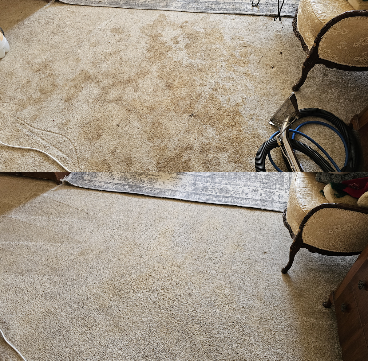 Comparison of two carpets, showing a before and after cleaning. The top carpet is dirty with stains and spots, while the bottom carpet appears clean and new.