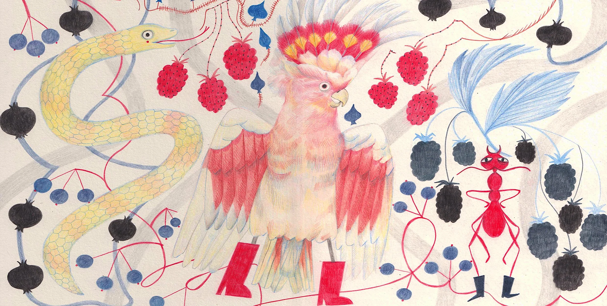 Squawk - Fruit Beer Cockatoo.jpg