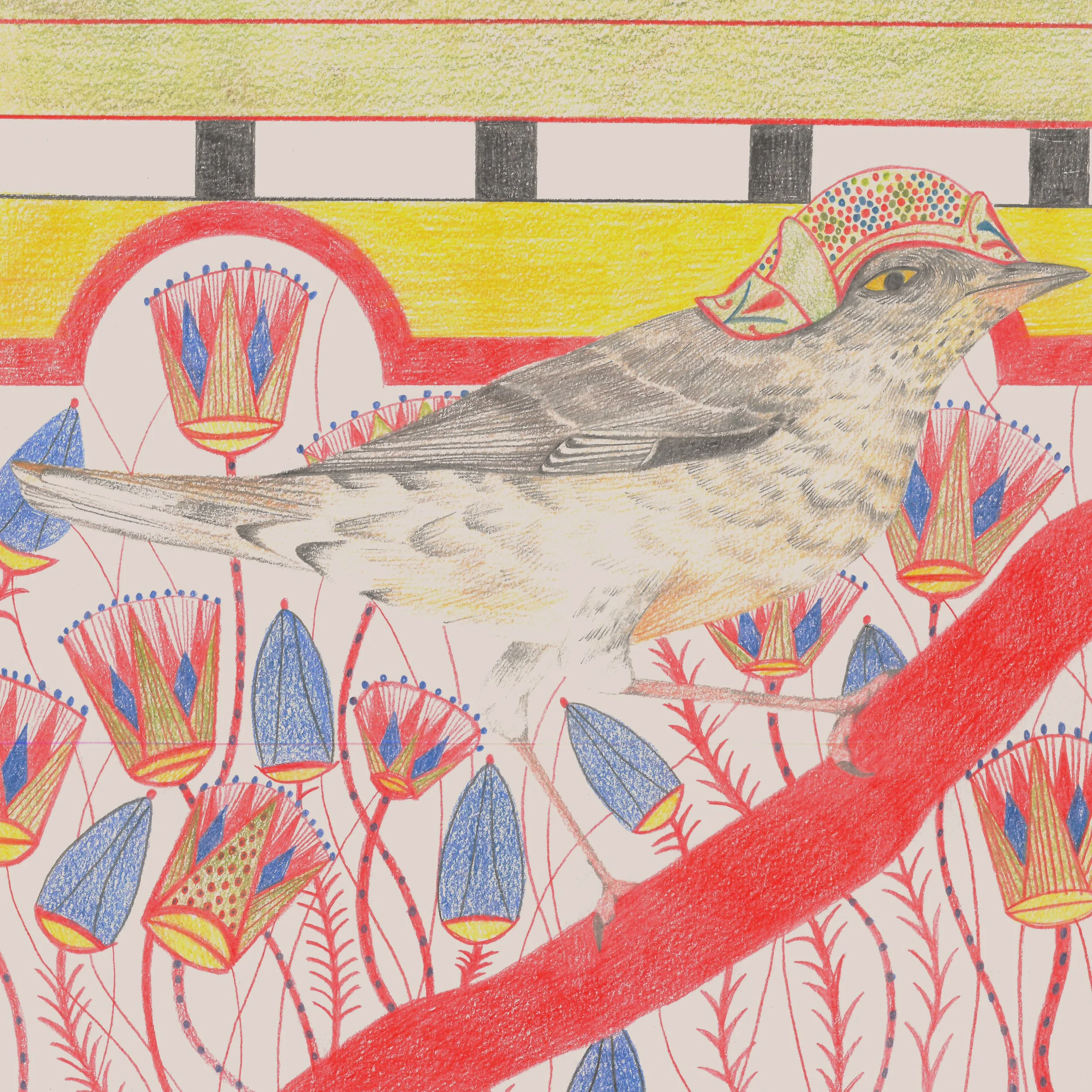 Squawk-Barred Warbler.jpg