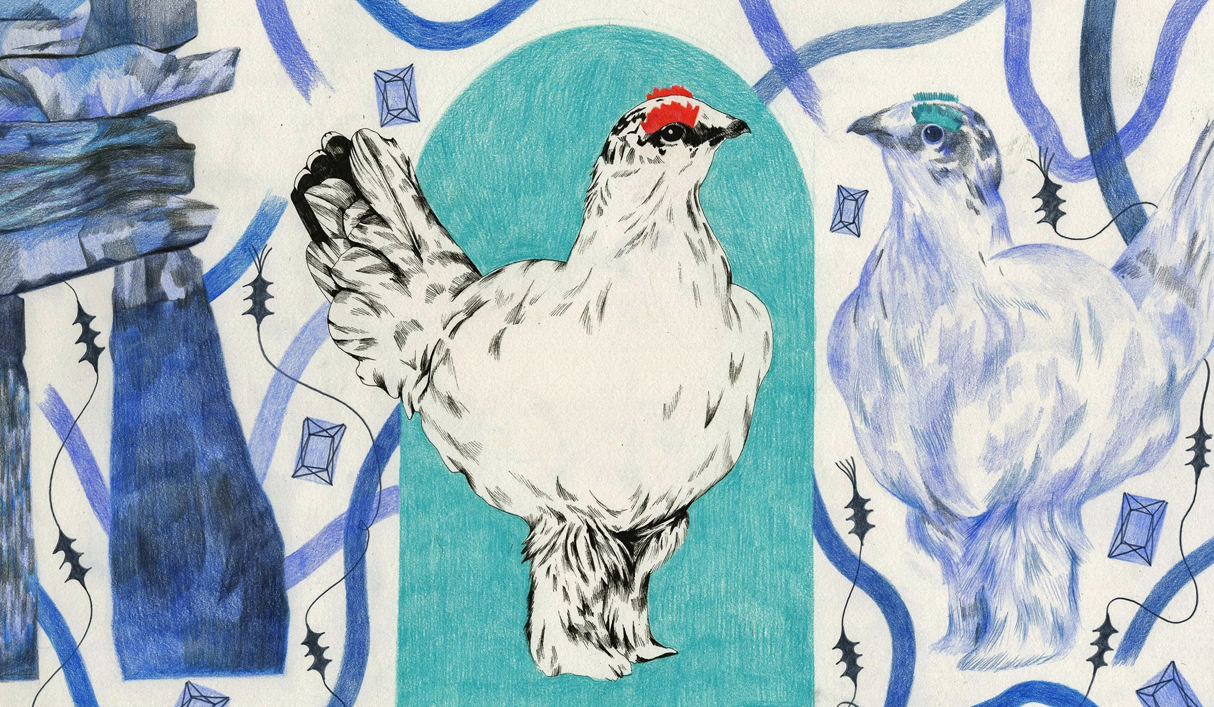 SQUAWK - Ptarmigan.jpg