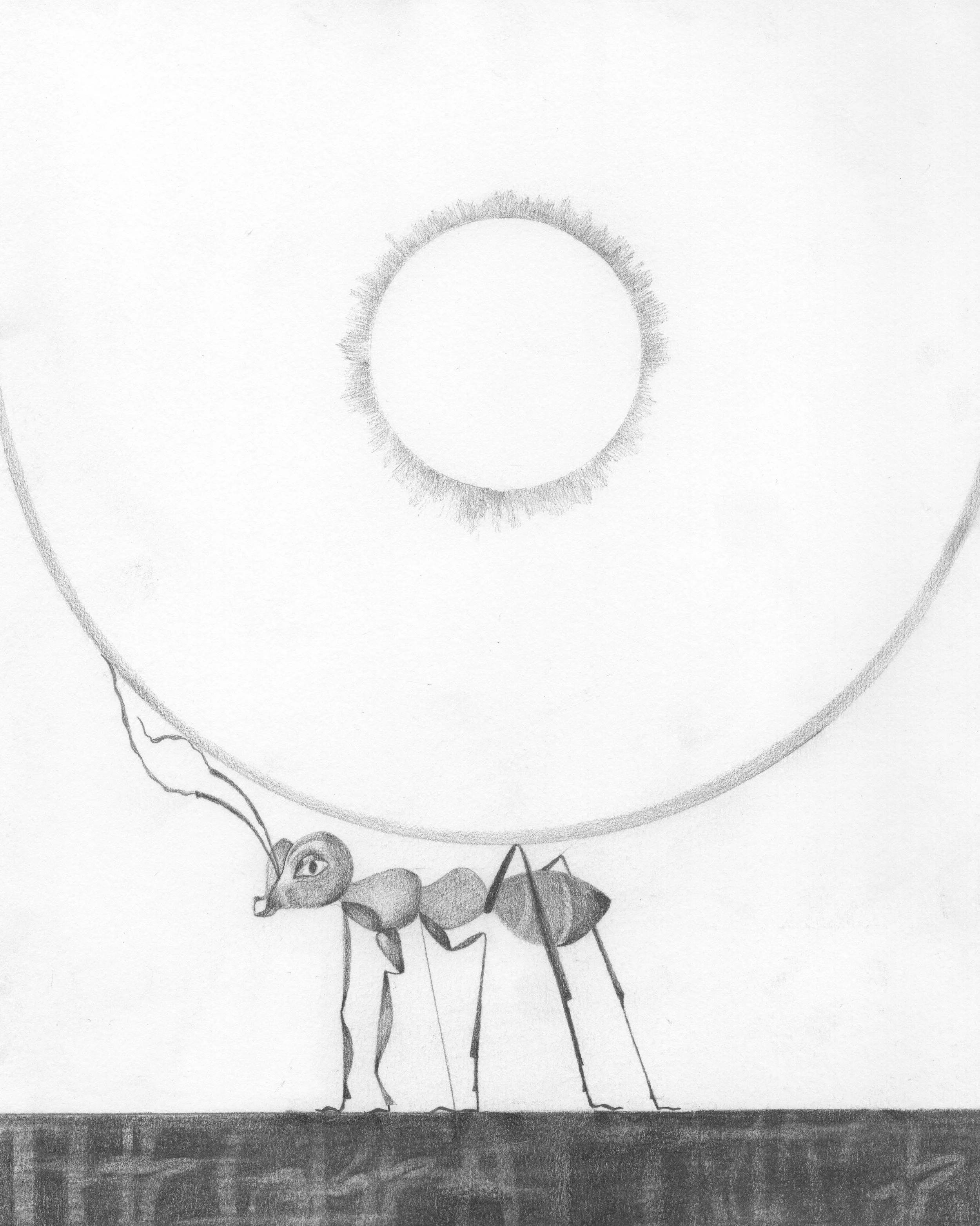 "The Great Image Has No Shape"

A4, Pencil on Paper, 2024