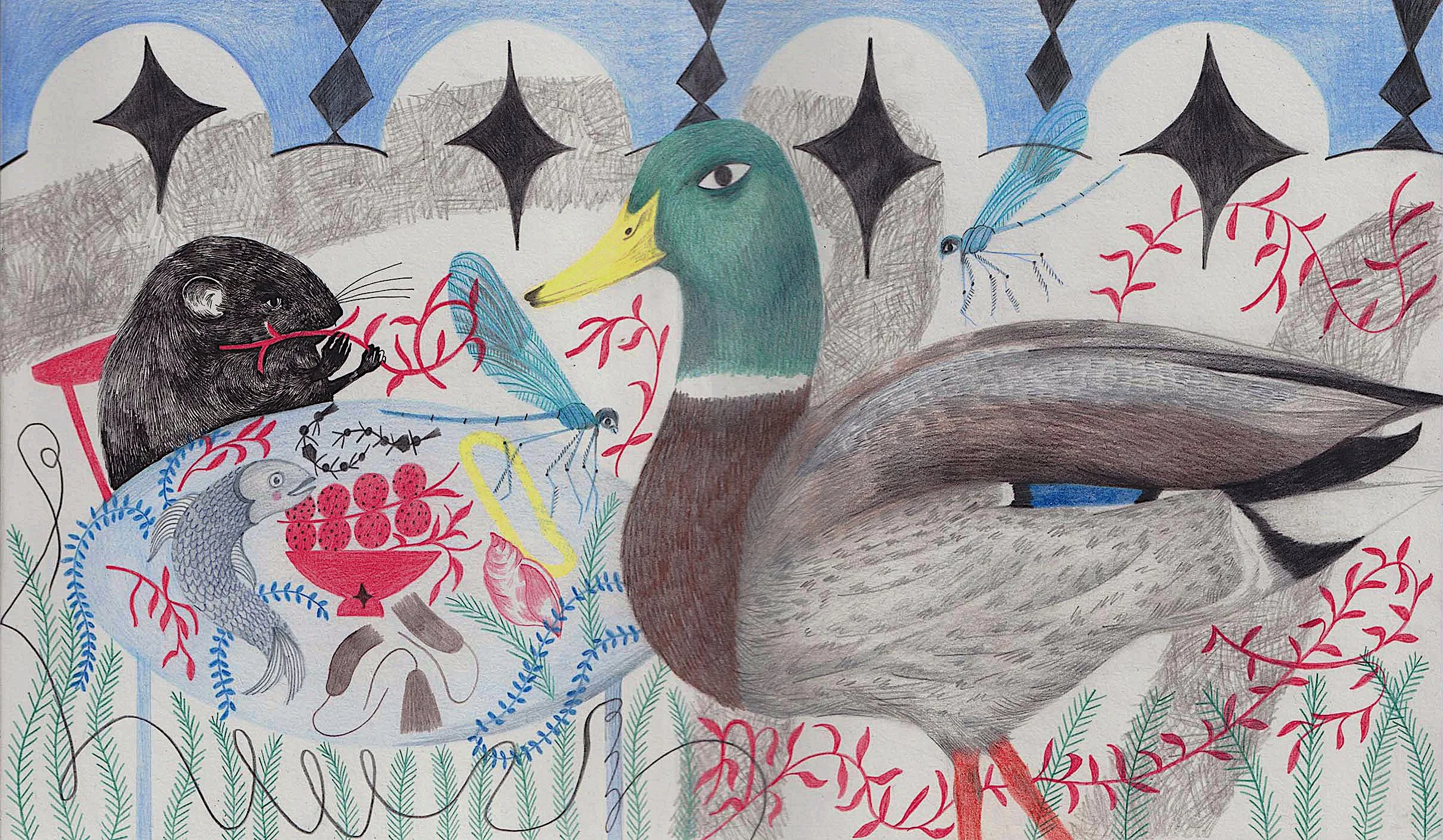 Squawk - life in the big pond.jpg