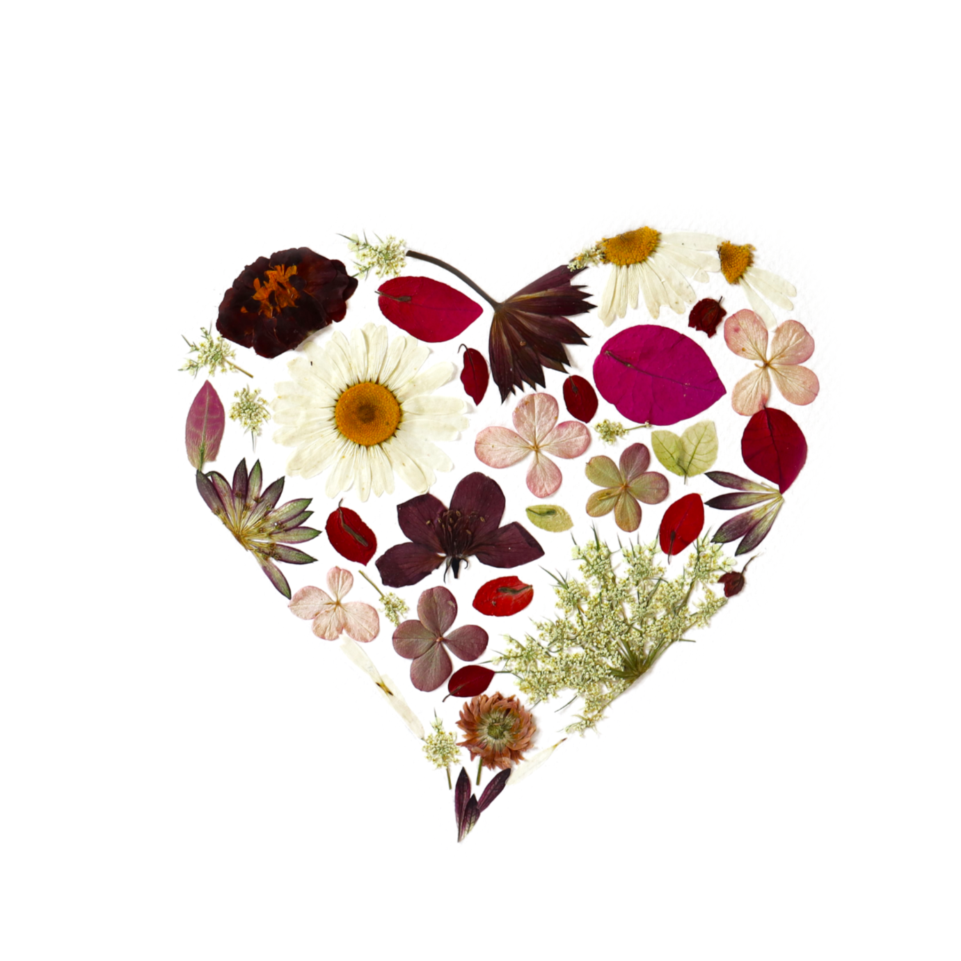 FLOWER+PRESSING+%282%29.png